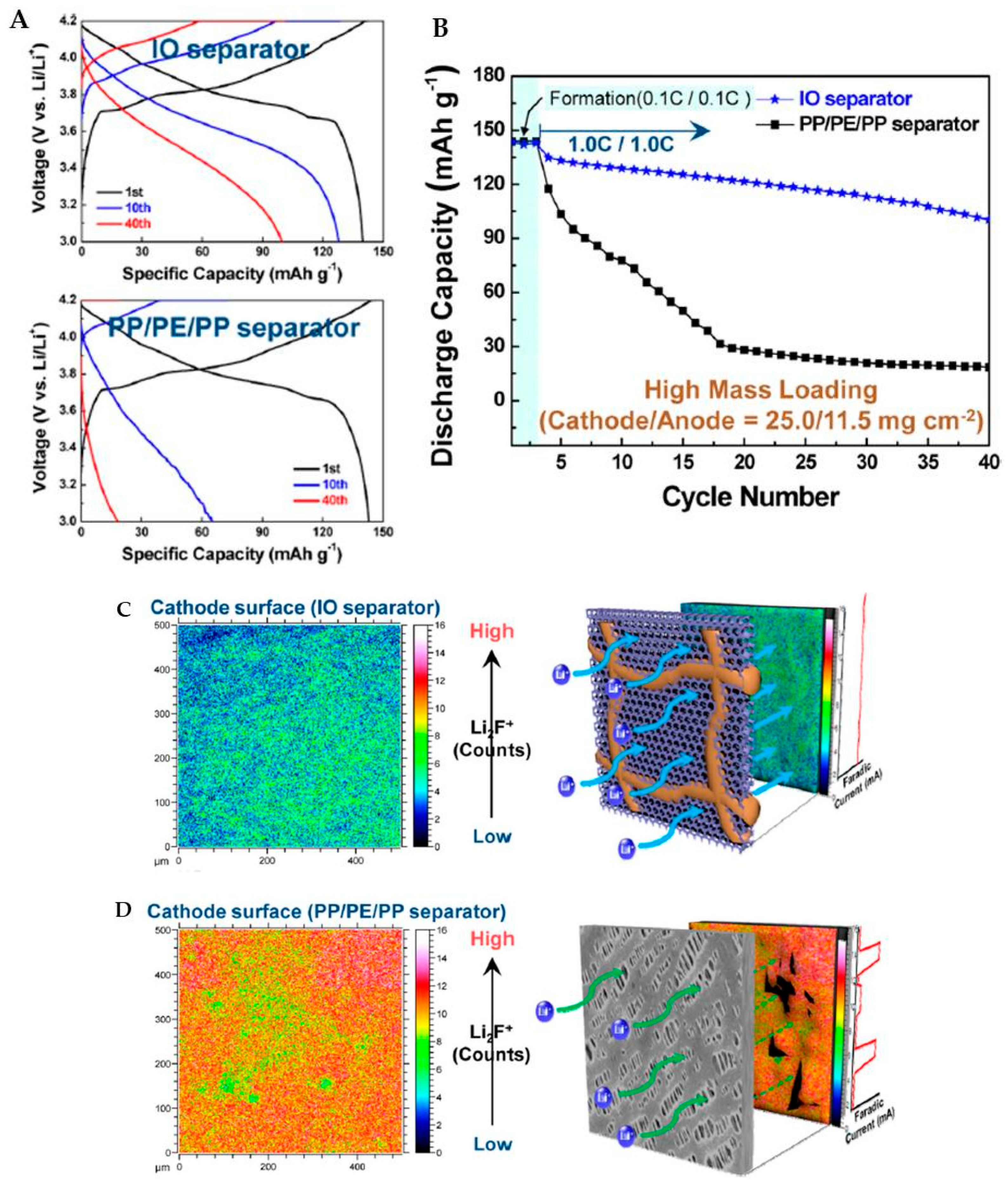 Molecules 27 07851 g005