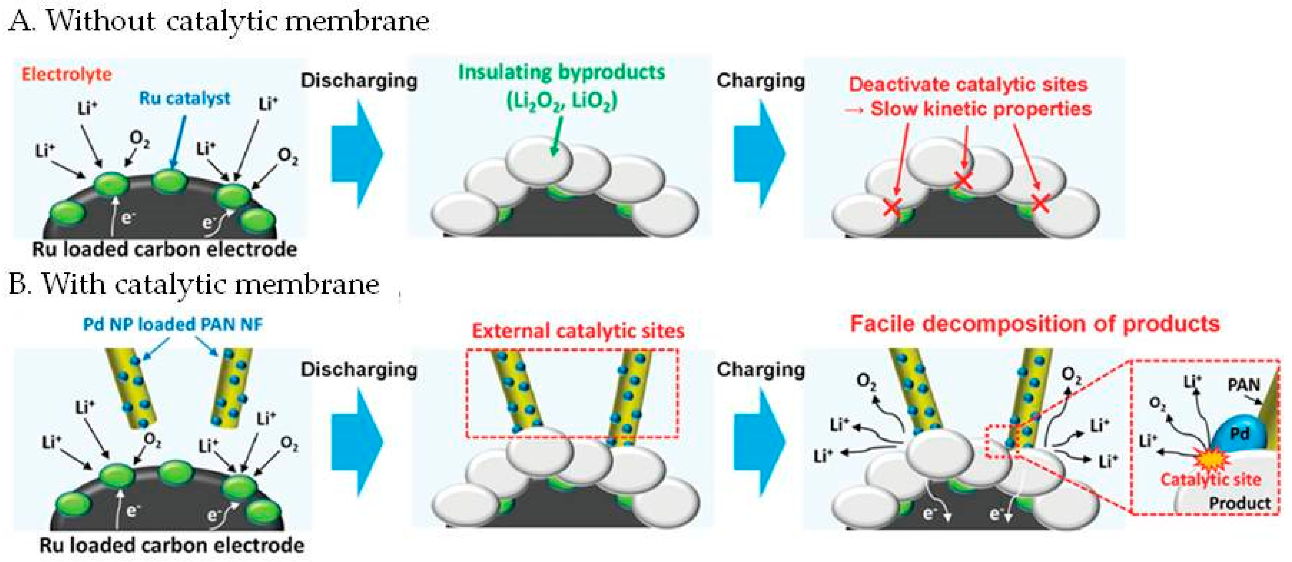 Molecules 27 07851 g006