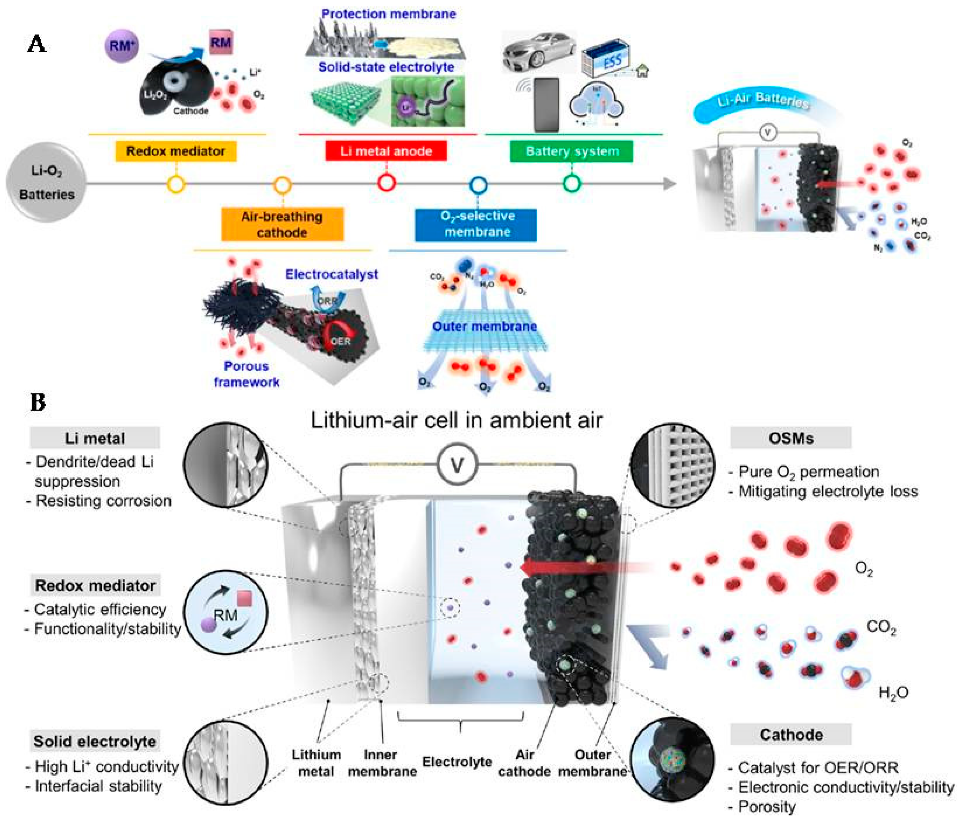 Molecules 27 07851 g009