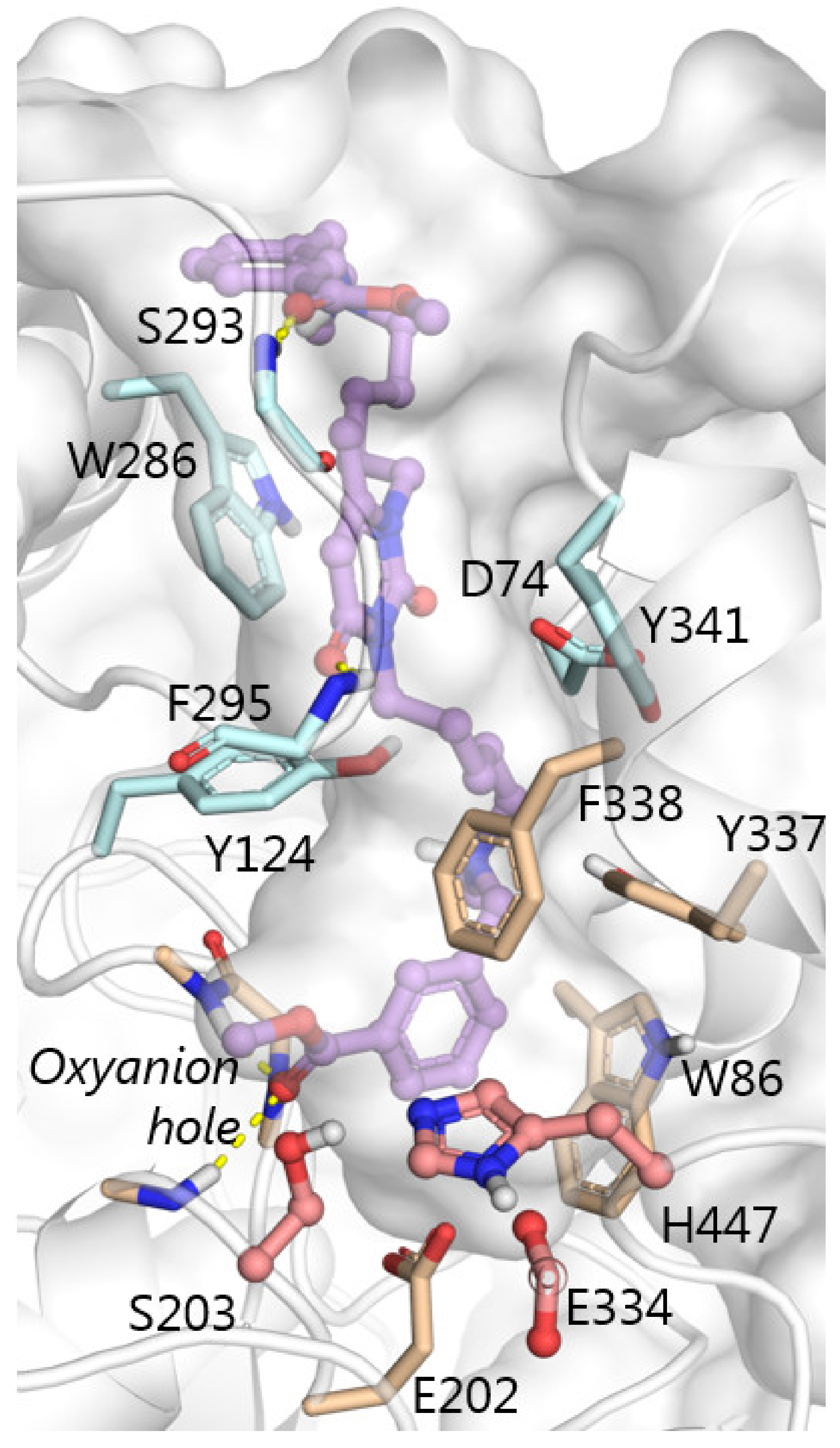 Molecules 27 07855 g004