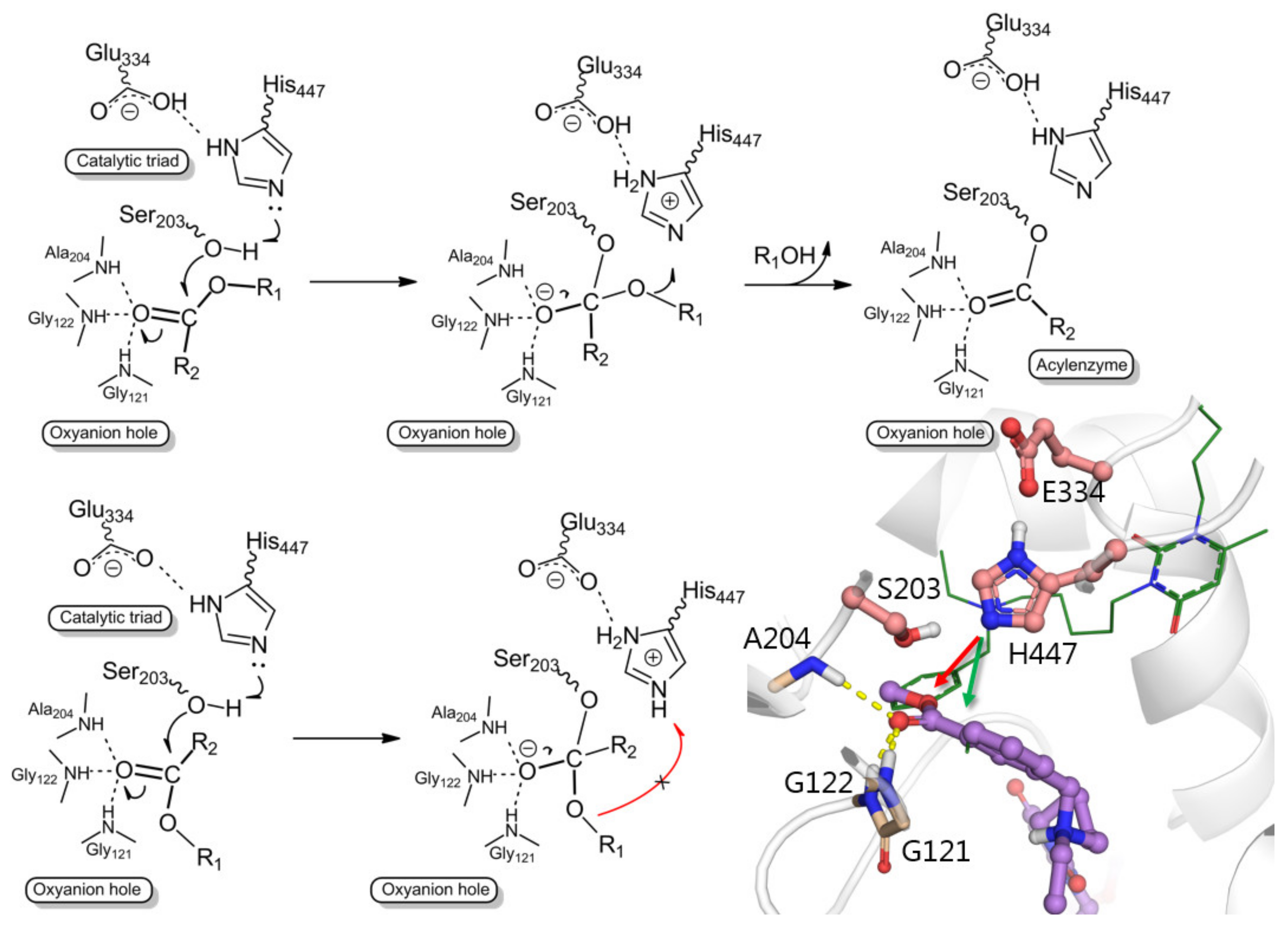 Molecules 27 07855 g005