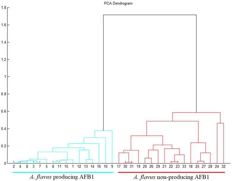 Molecules 27 07861 g006