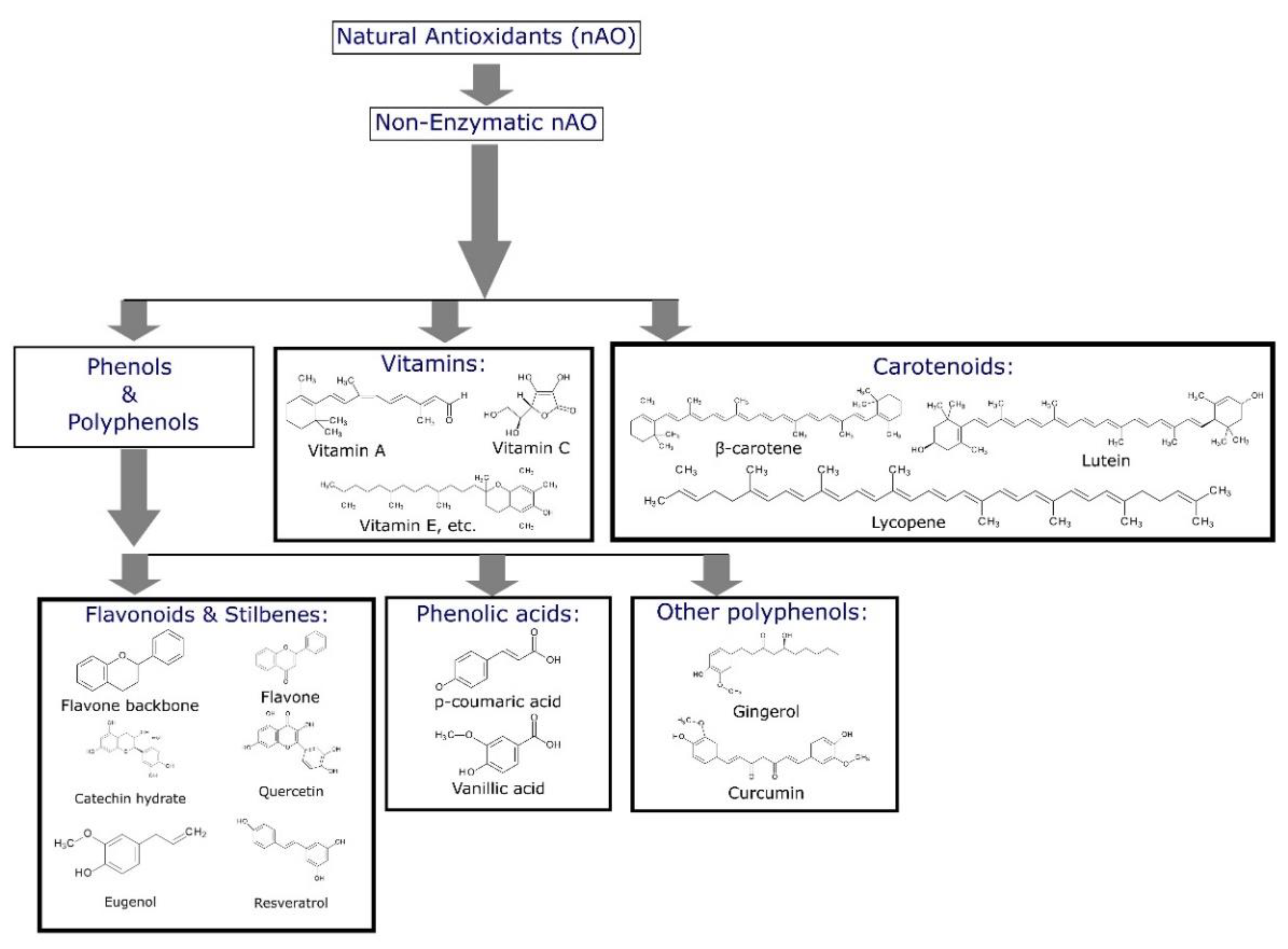 Molecules 27 07877 g001
