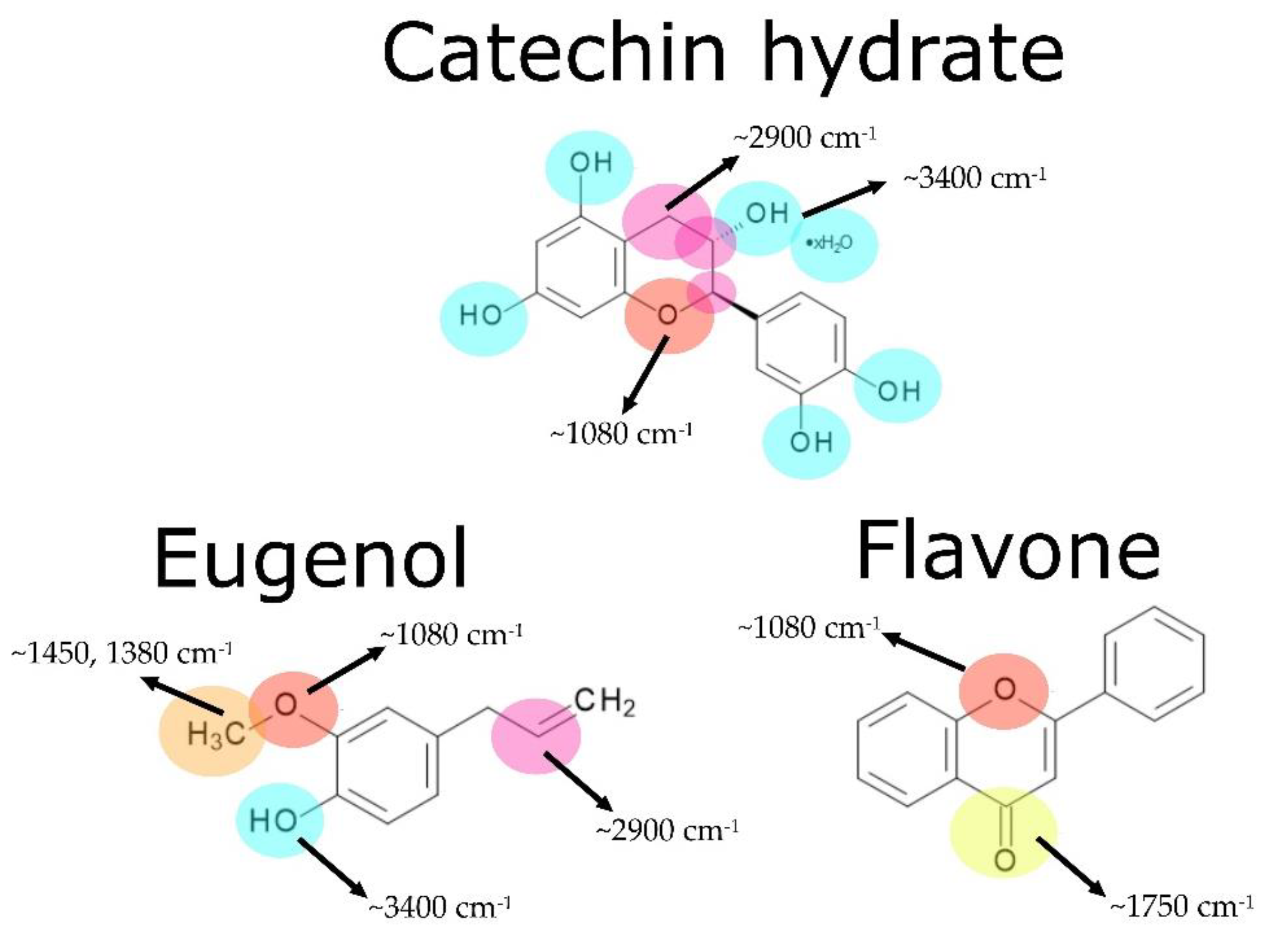 Molecules 27 07877 g006