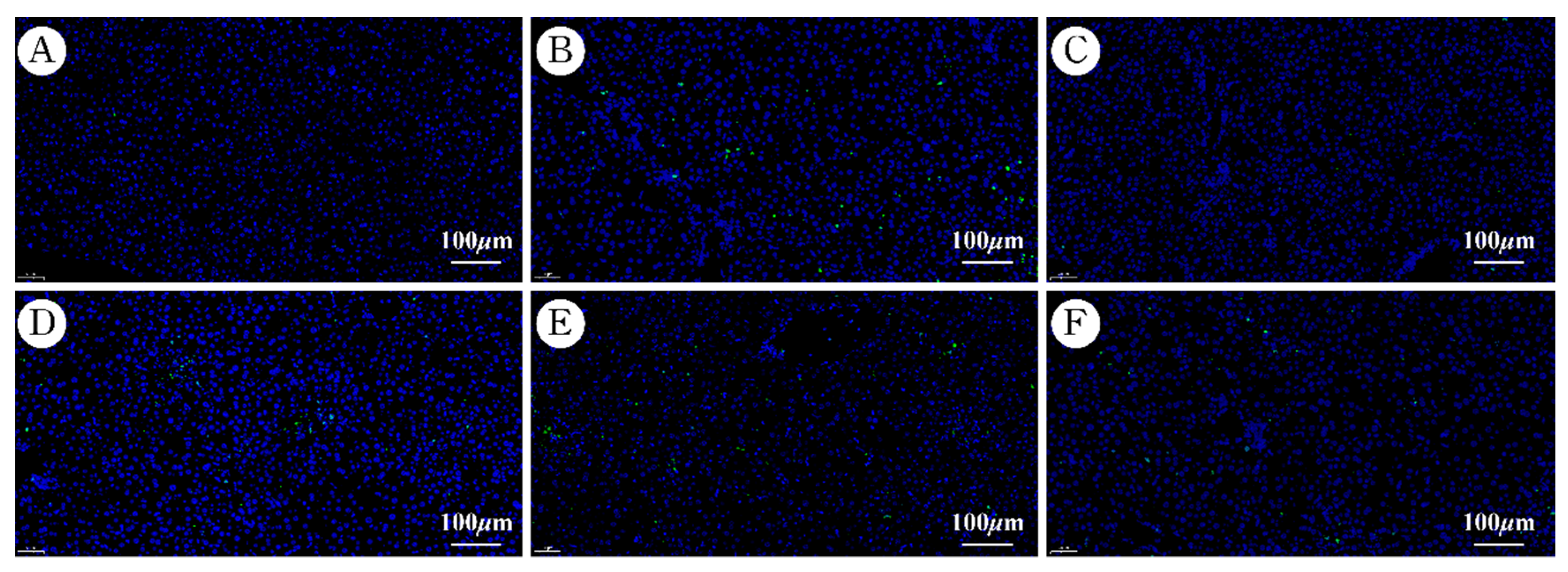 Molecules 27 07883 g007 Molecules 27 07883 g007