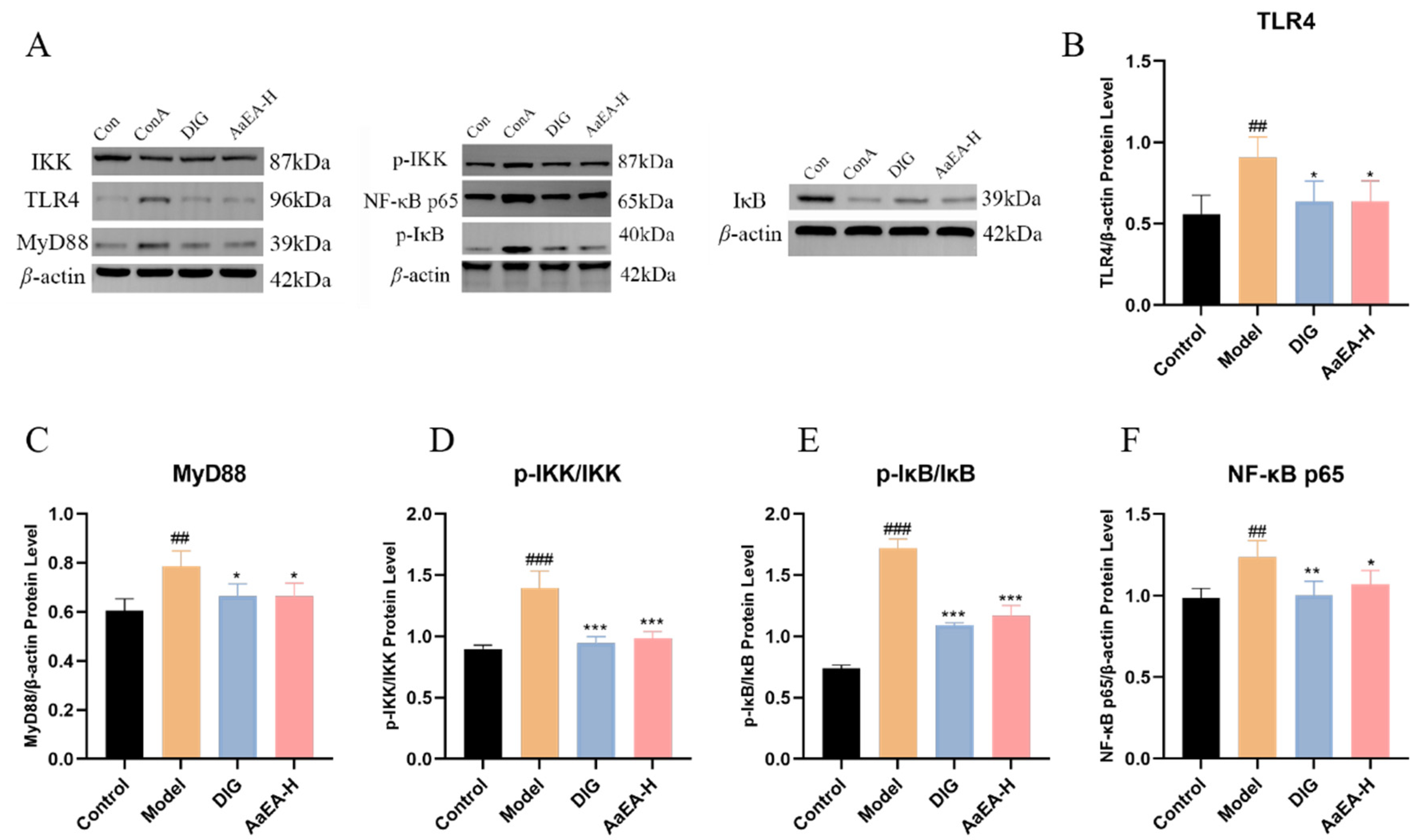 Molecules 27 07883 g008 Molecules 27 07883 g008