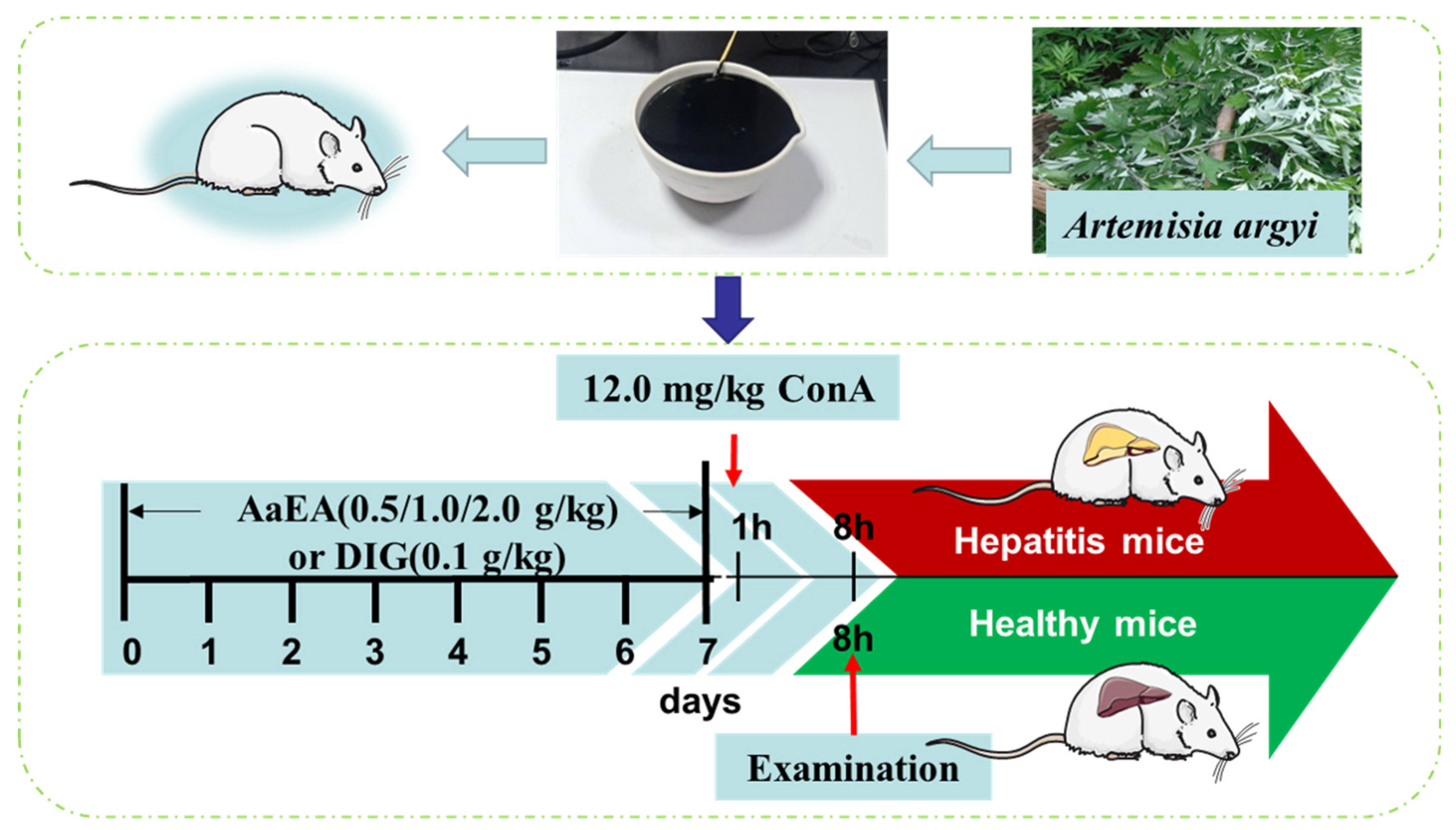 Molecules 27 07883 g011 Molecules 27 07883 g011