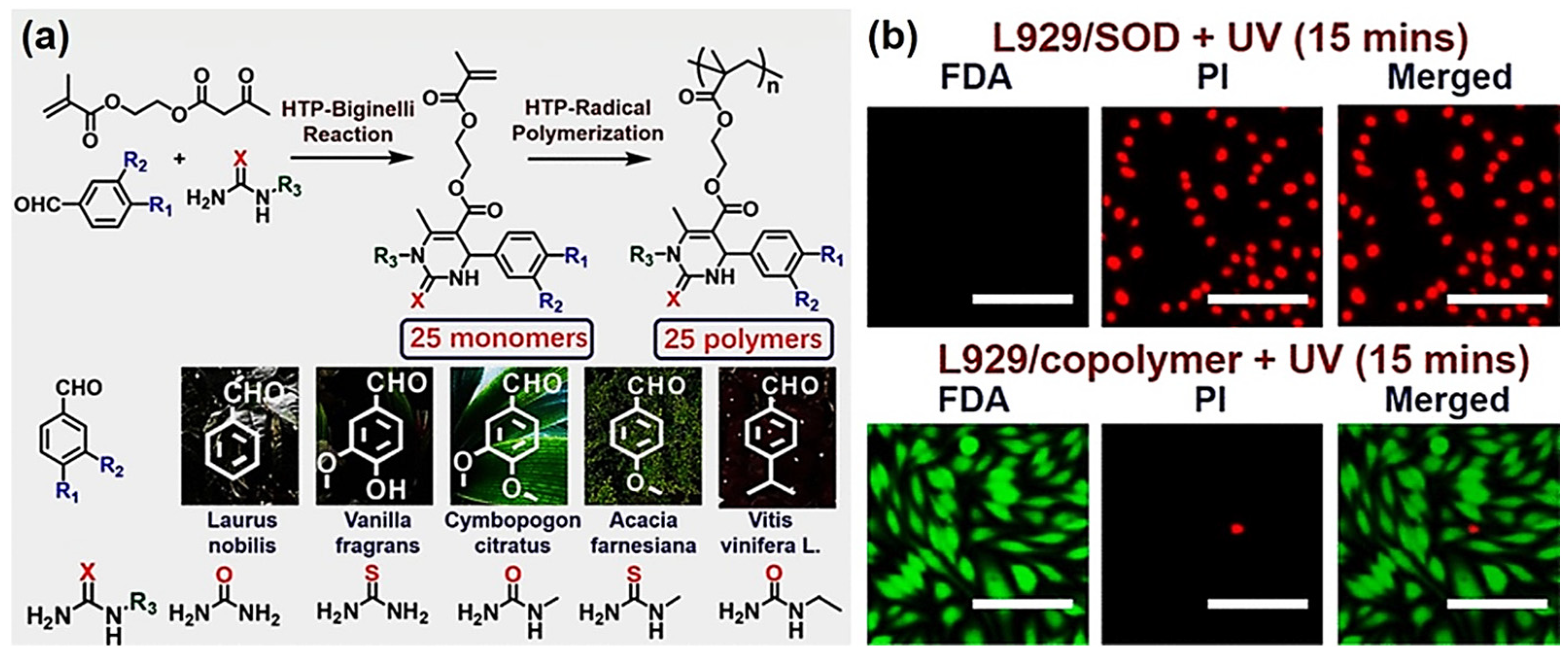 Molecules 27 07886 g003 Molecules 27 07886 g003
