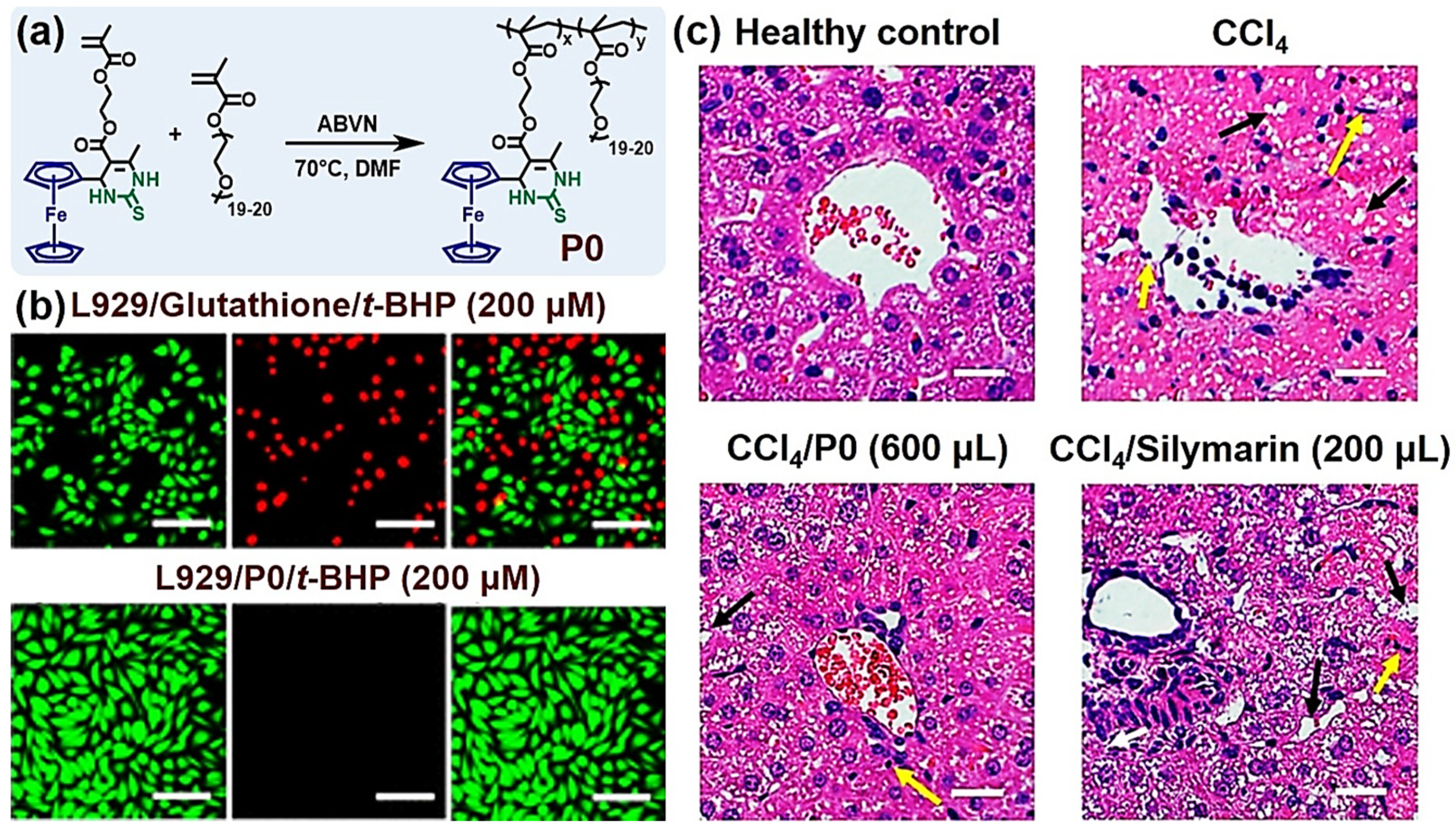 Molecules 27 07886 g004 Molecules 27 07886 g004