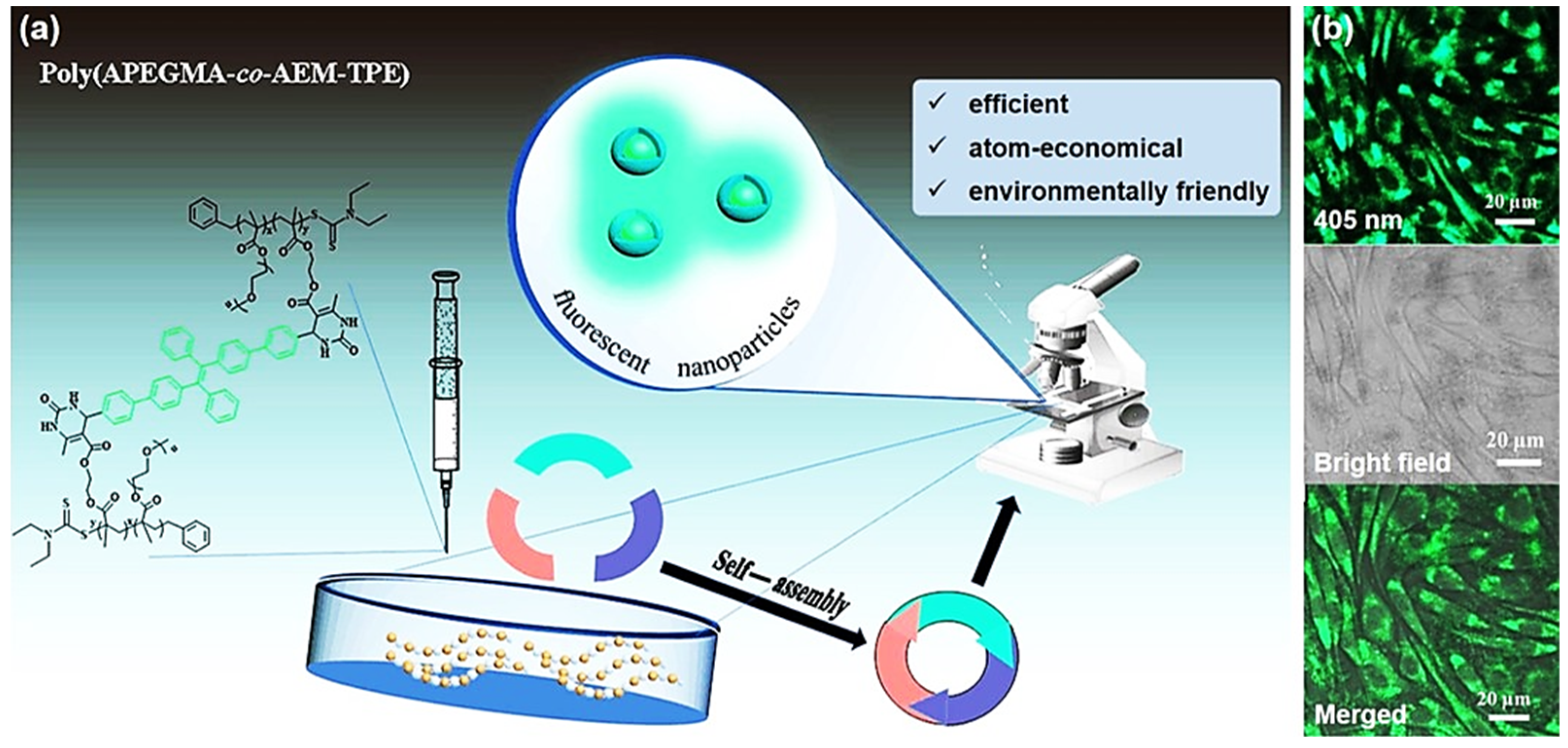 Molecules 27 07886 g008 Molecules 27 07886 g008