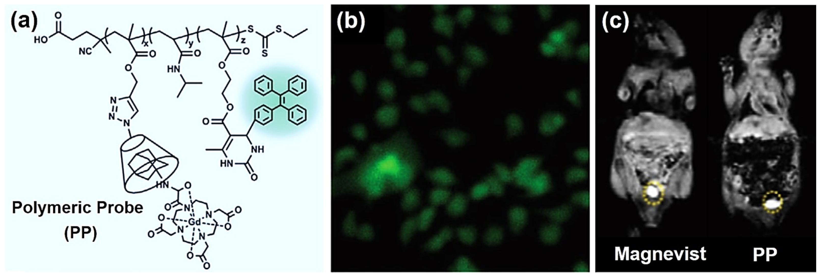 Molecules 27 07886 g009 Molecules 27 07886 g009