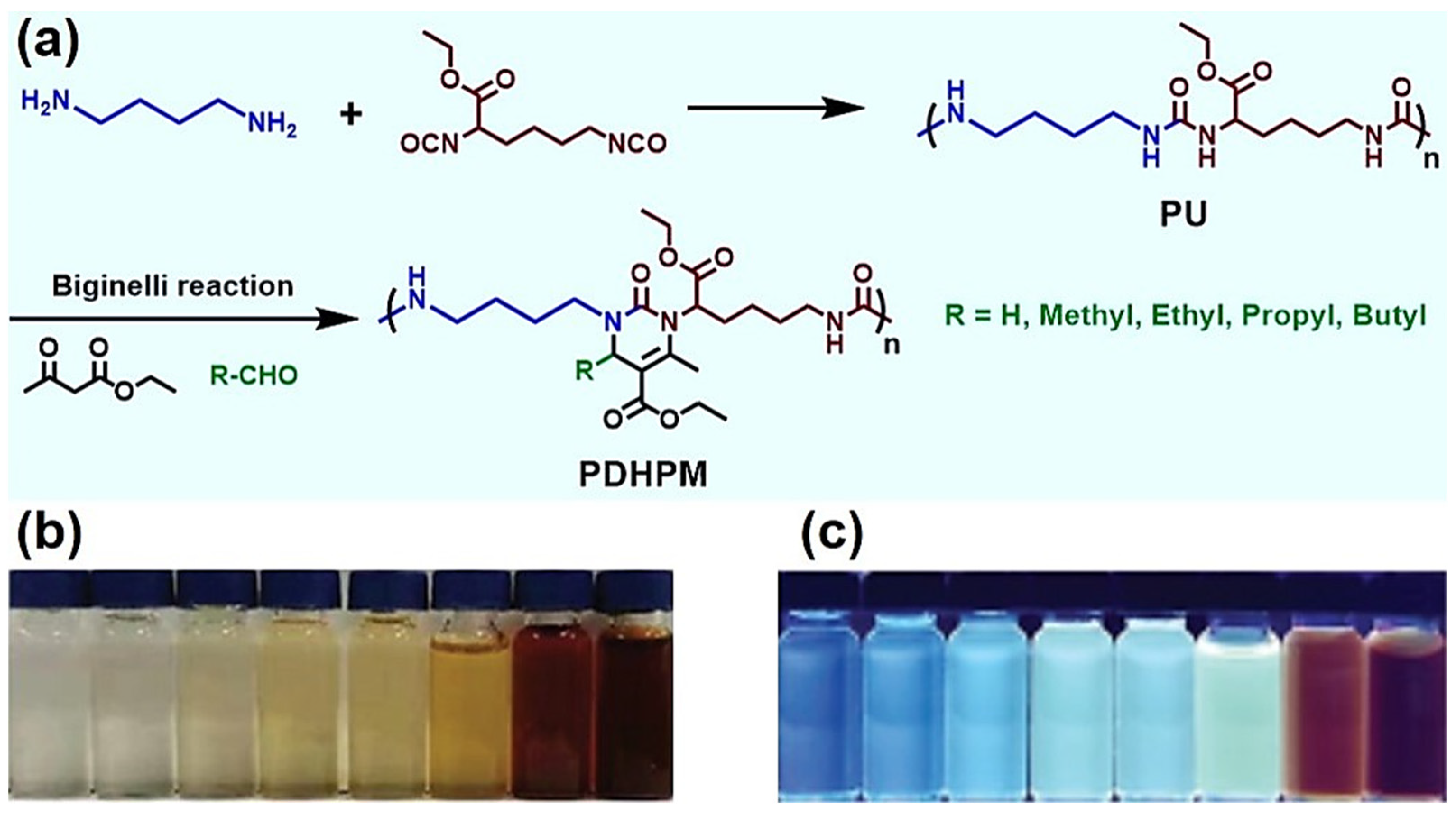 Molecules 27 07886 g012 Molecules 27 07886 g012