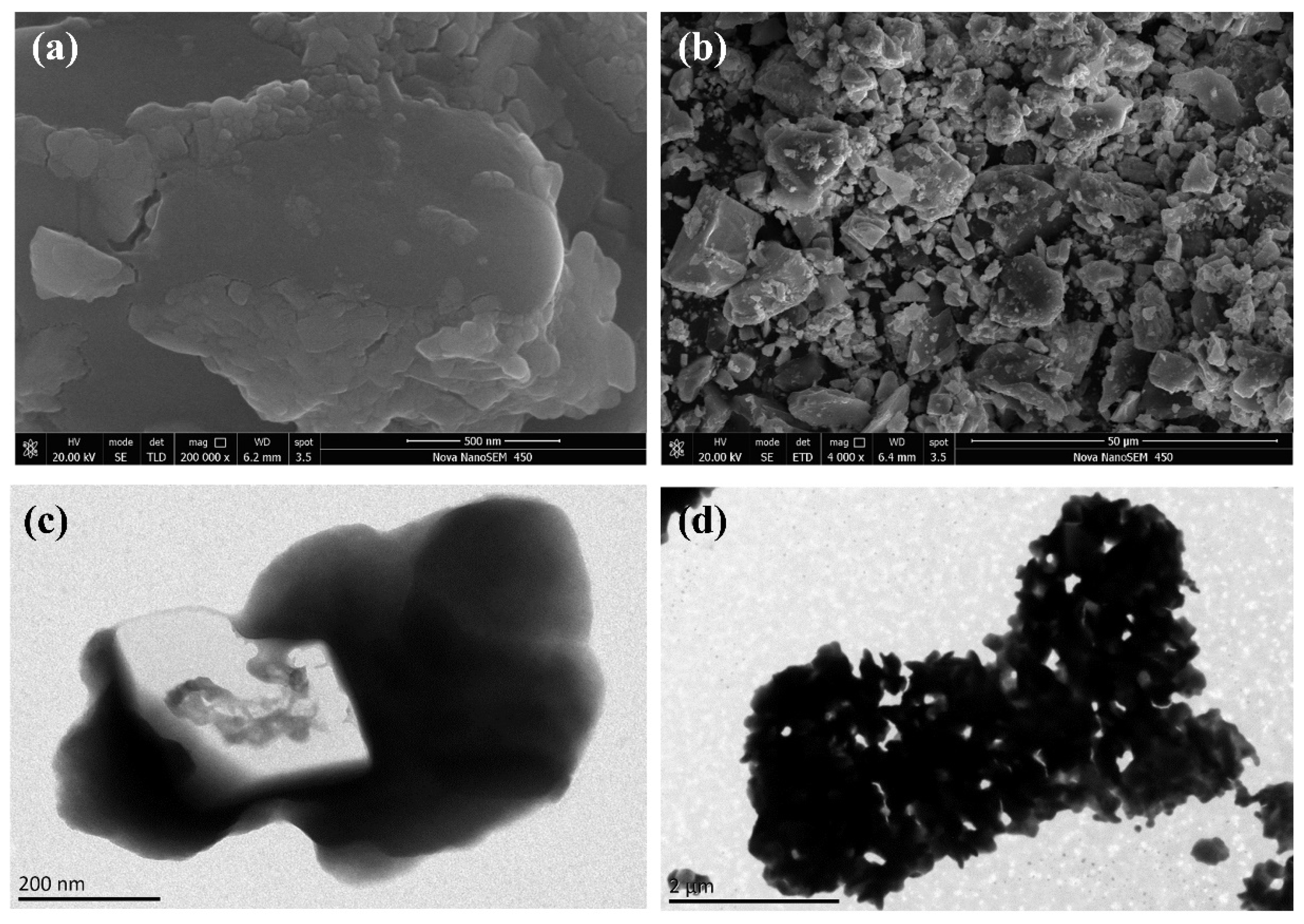 Molecules 27 07889 g005
