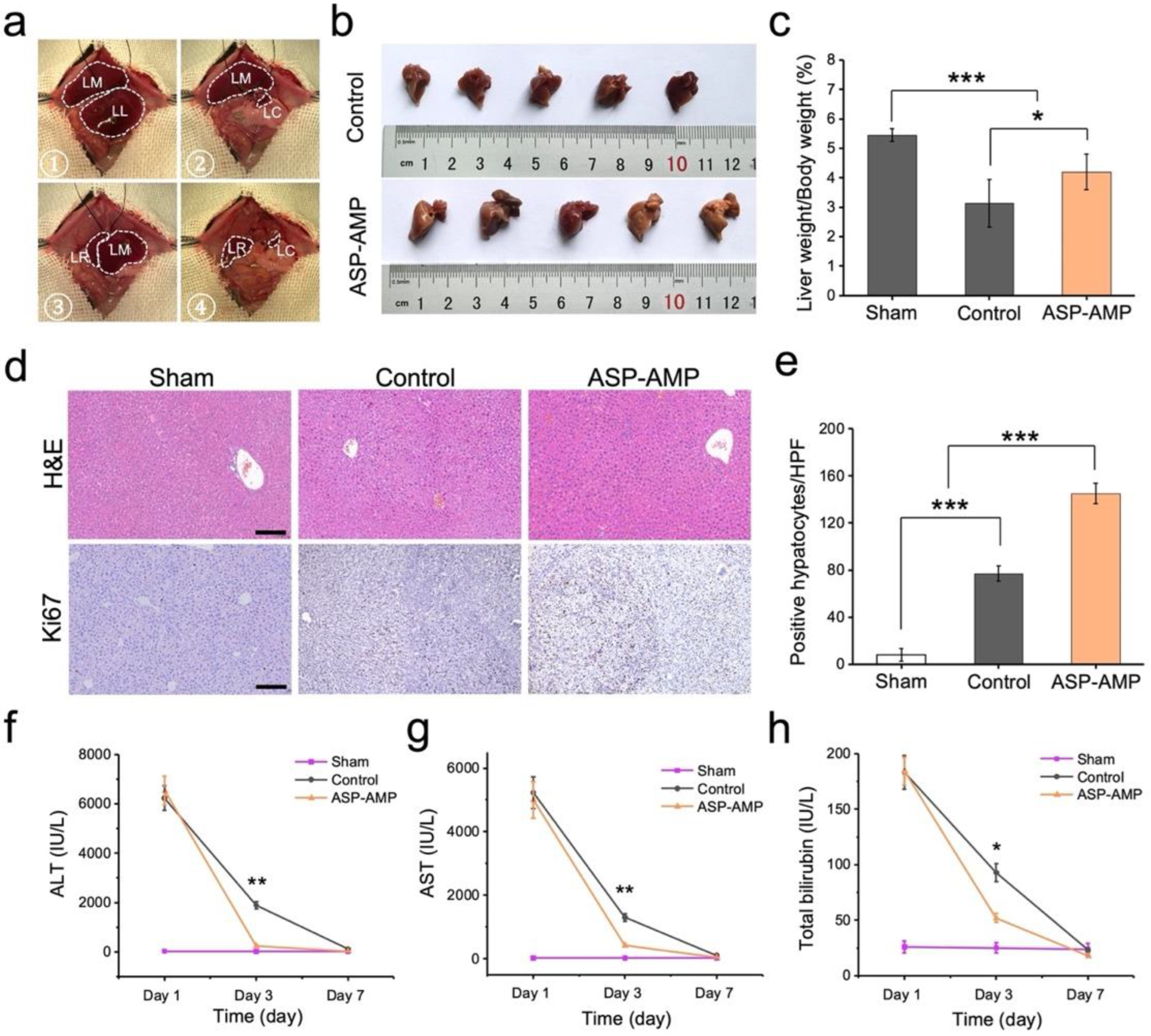 Molecules 27 07890 g003 Molecules 27 07890 g003