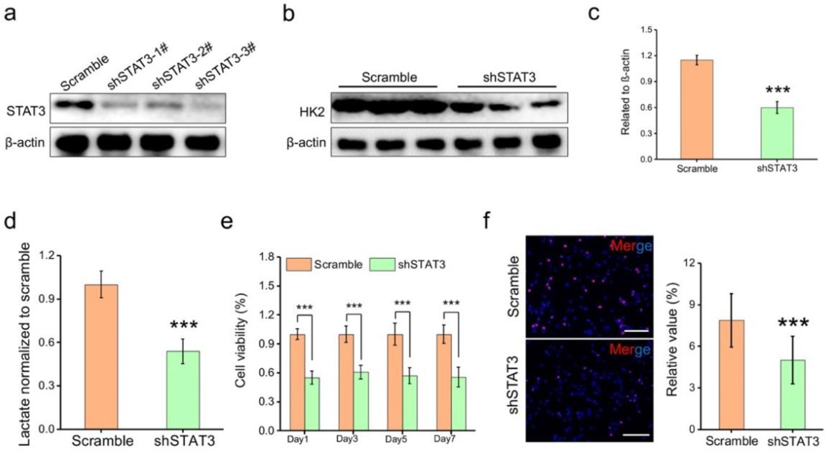 Molecules 27 07890 g007 Molecules 27 07890 g007