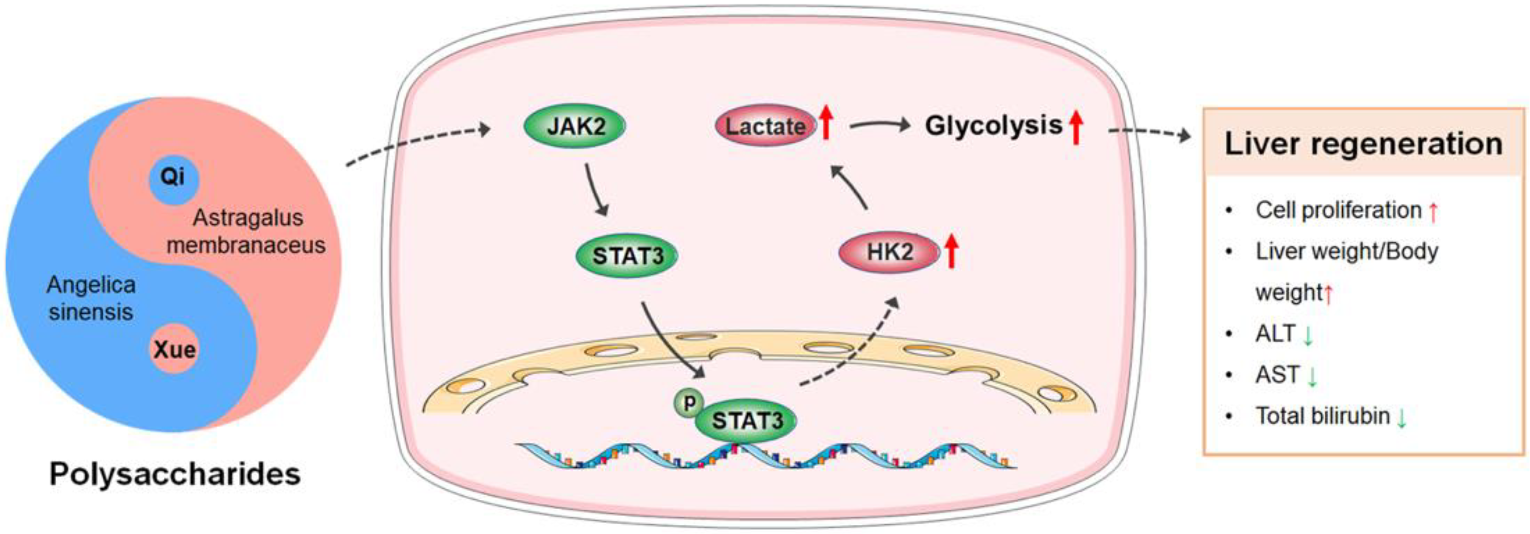 Molecules 27 07890 sch001 Molecules 27 07890 sch001