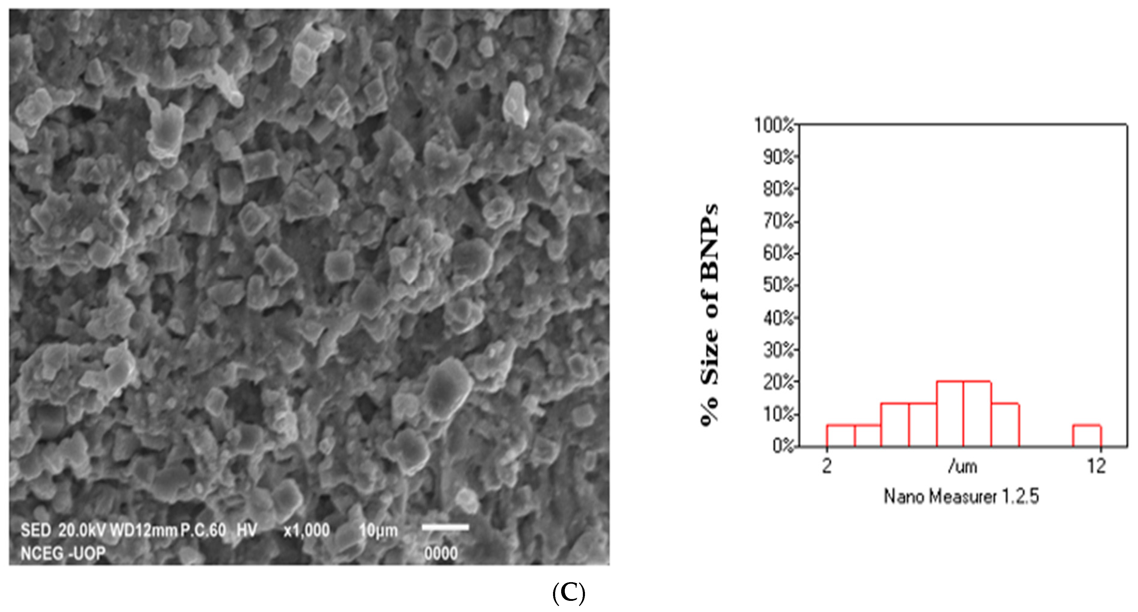 Molecules 27 07895 g007b Molecules 27 07895 g007b