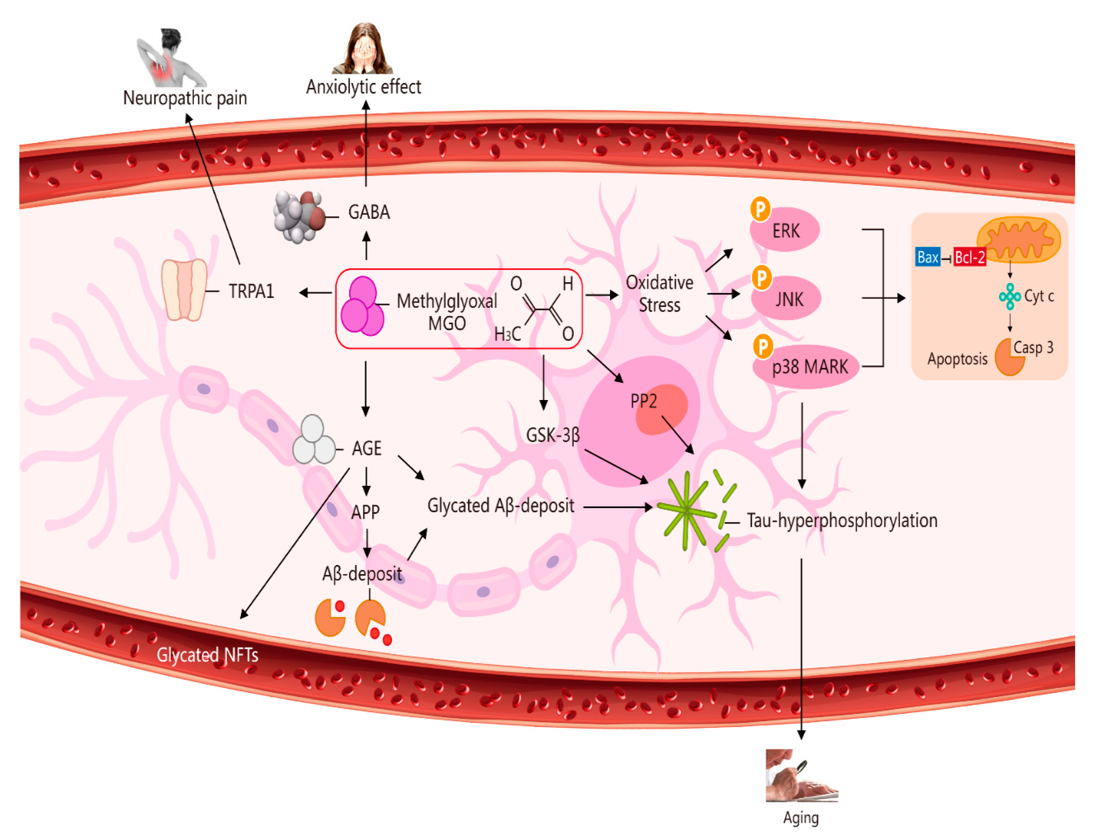 Molecules 27 07905 g002 Molecules 27 07905 g002