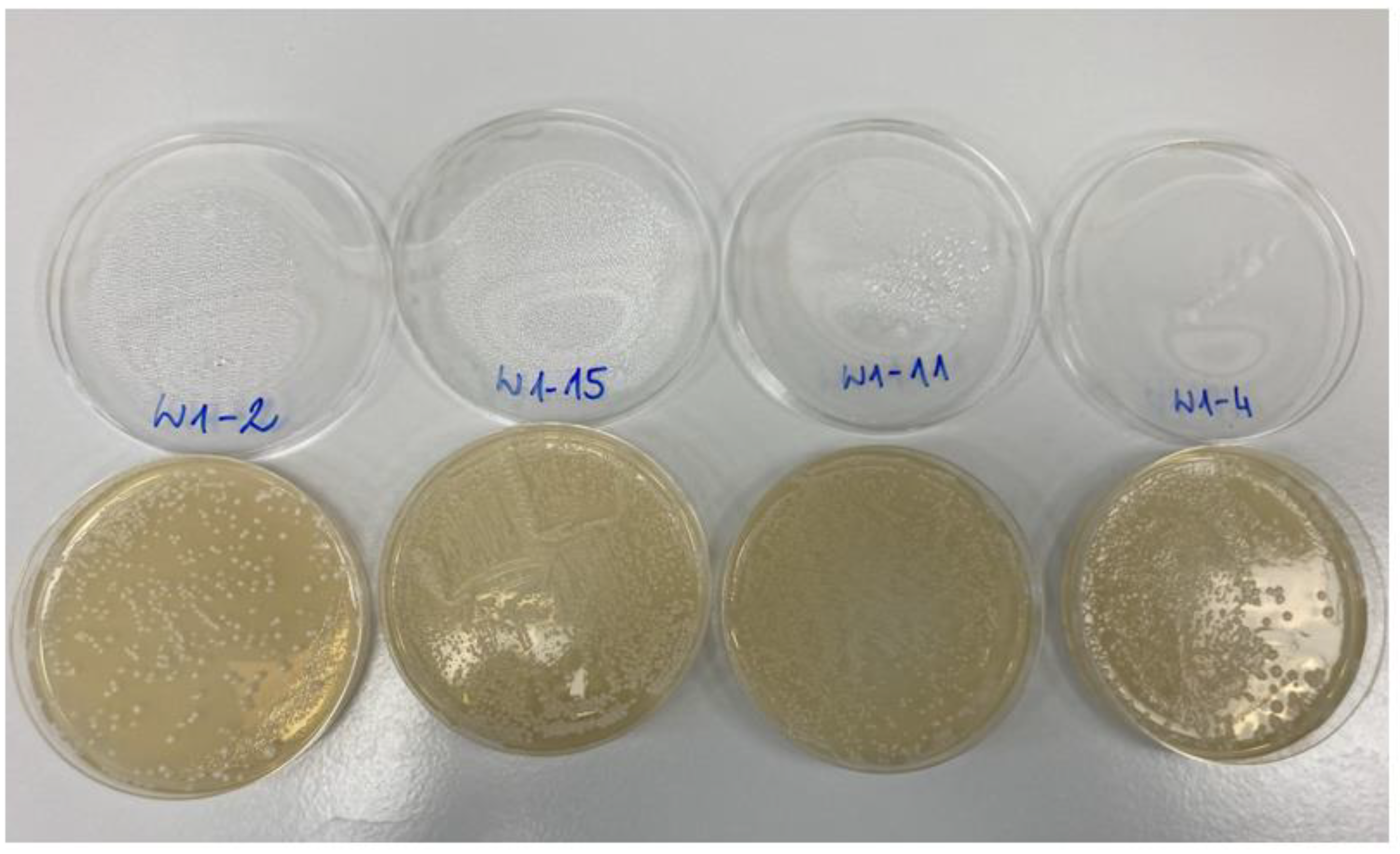 Molecules 27 07910 g001 Molecules 27 07910 g001