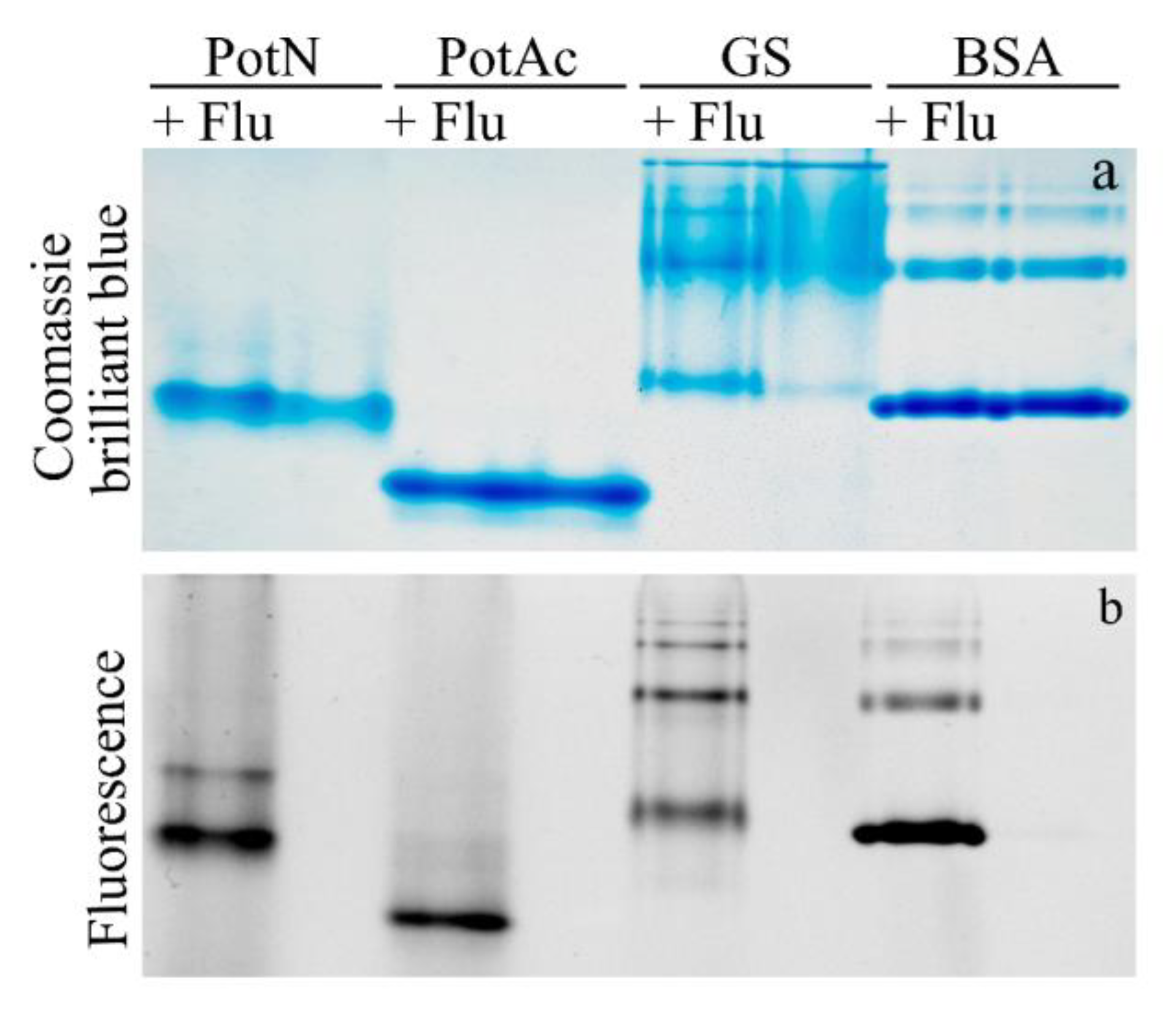 Molecules 27 07911 g008