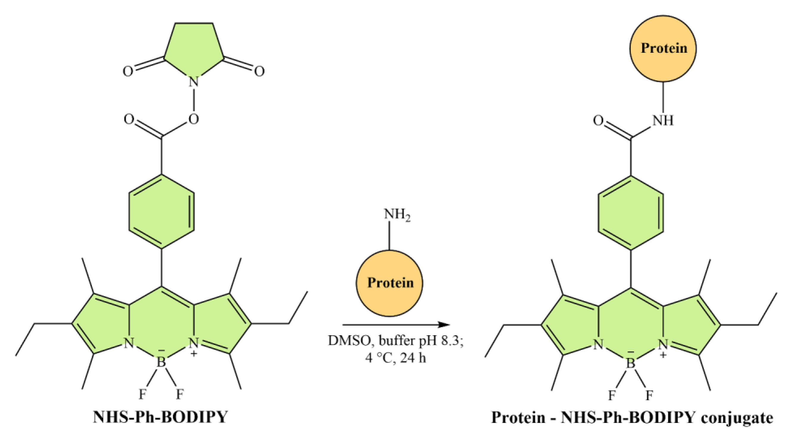 Molecules 27 07911 sch002