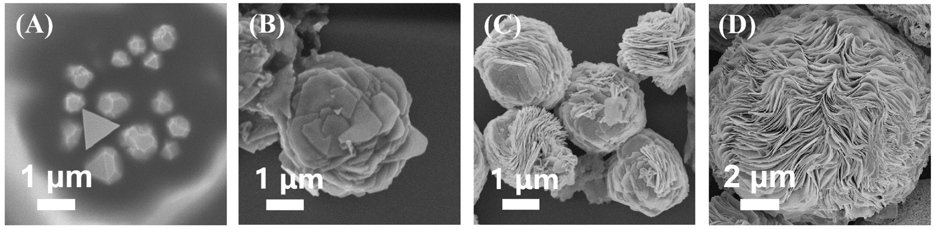 Molecules 27 07918 g003 Molecules 27 07918 g003