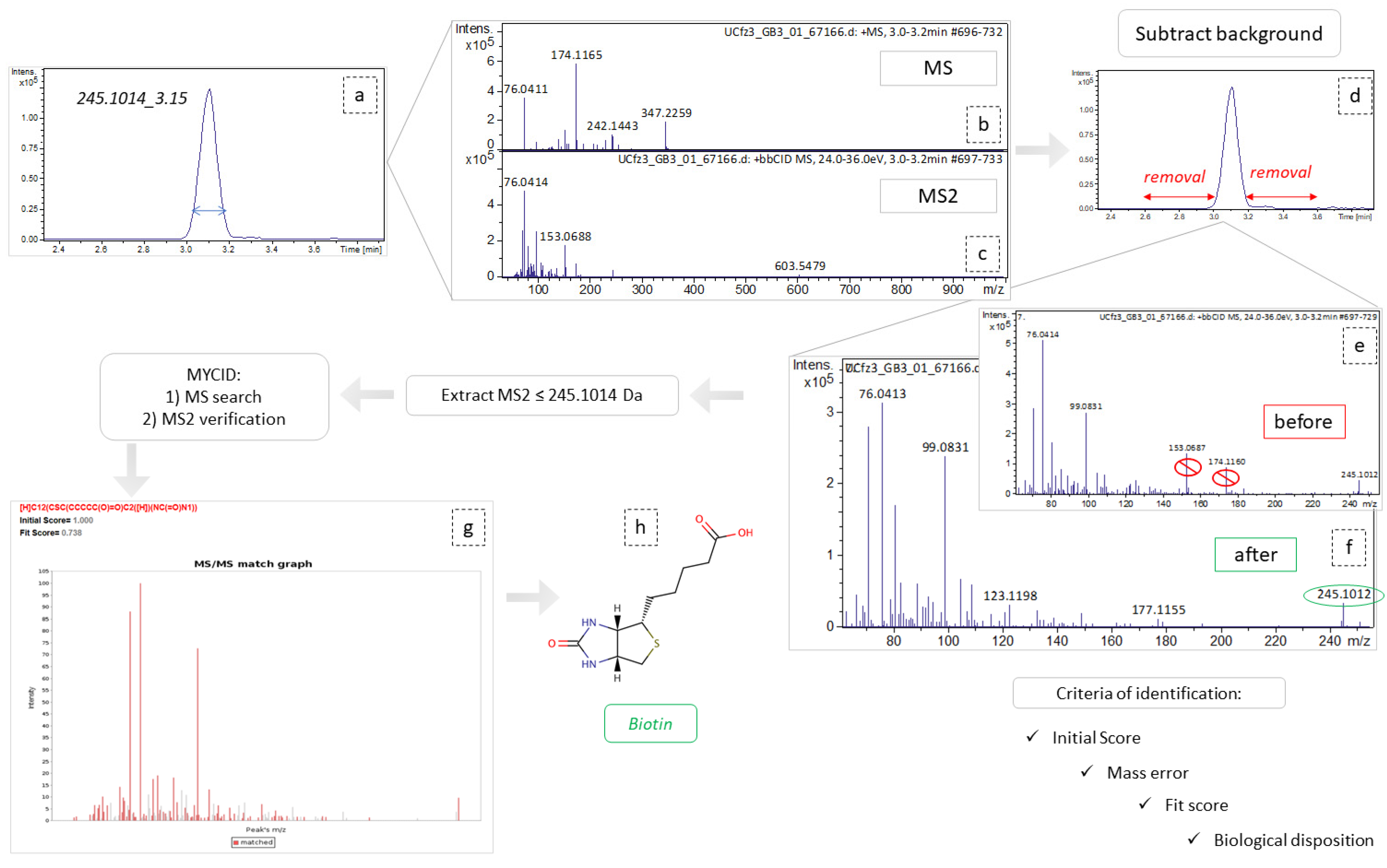 Molecules 27 07929 g008 Molecules 27 07929 g008