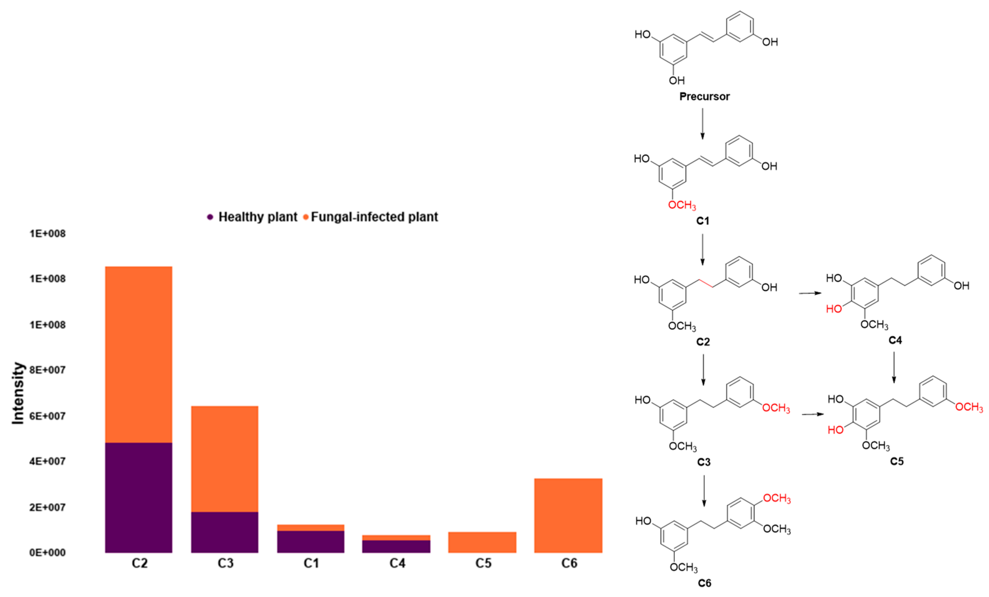 Molecules 27 07937 g004 Molecules 27 07937 g004