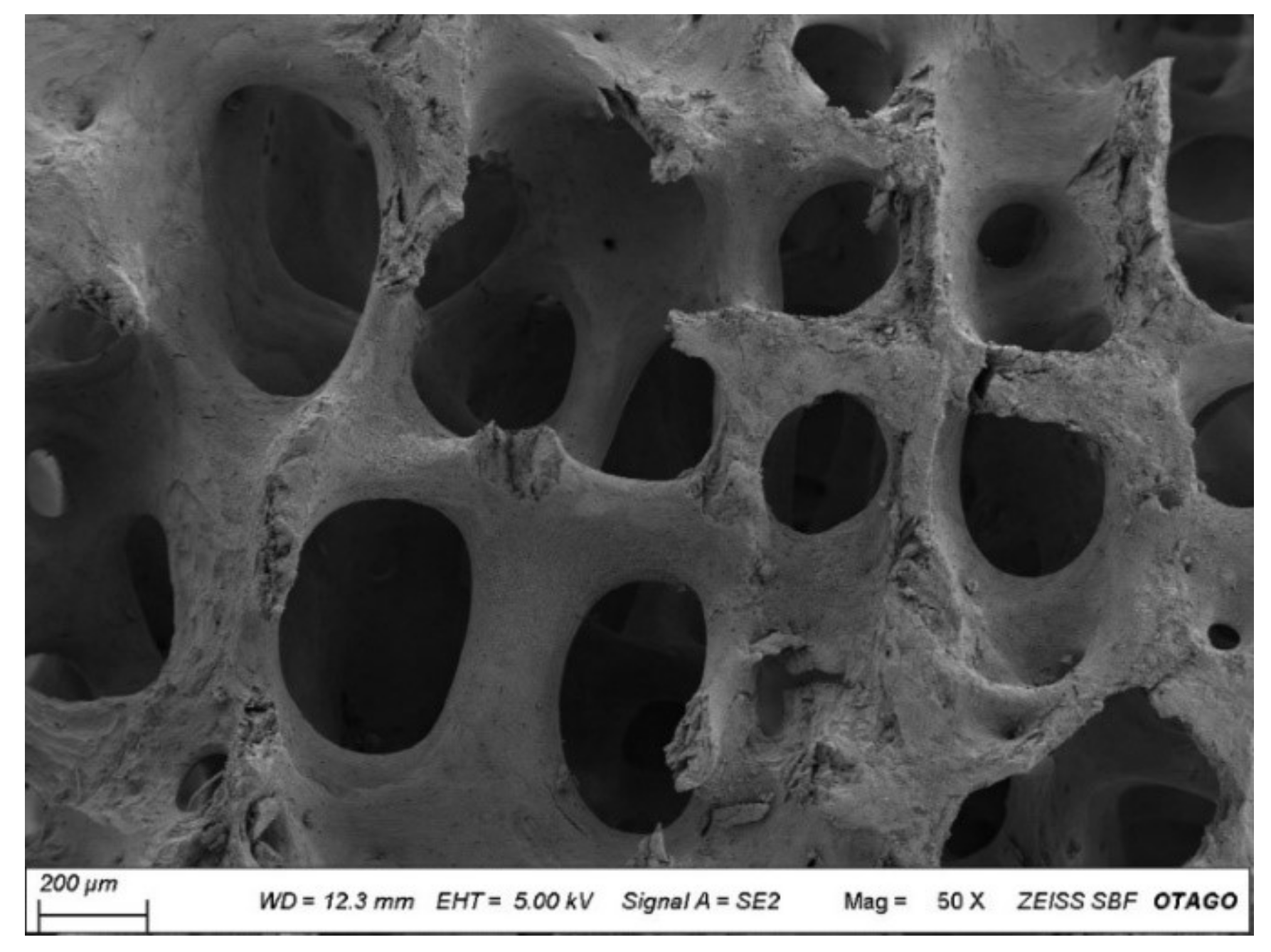 Molecules 27 07946 g006 Molecules 27 07946 g006
