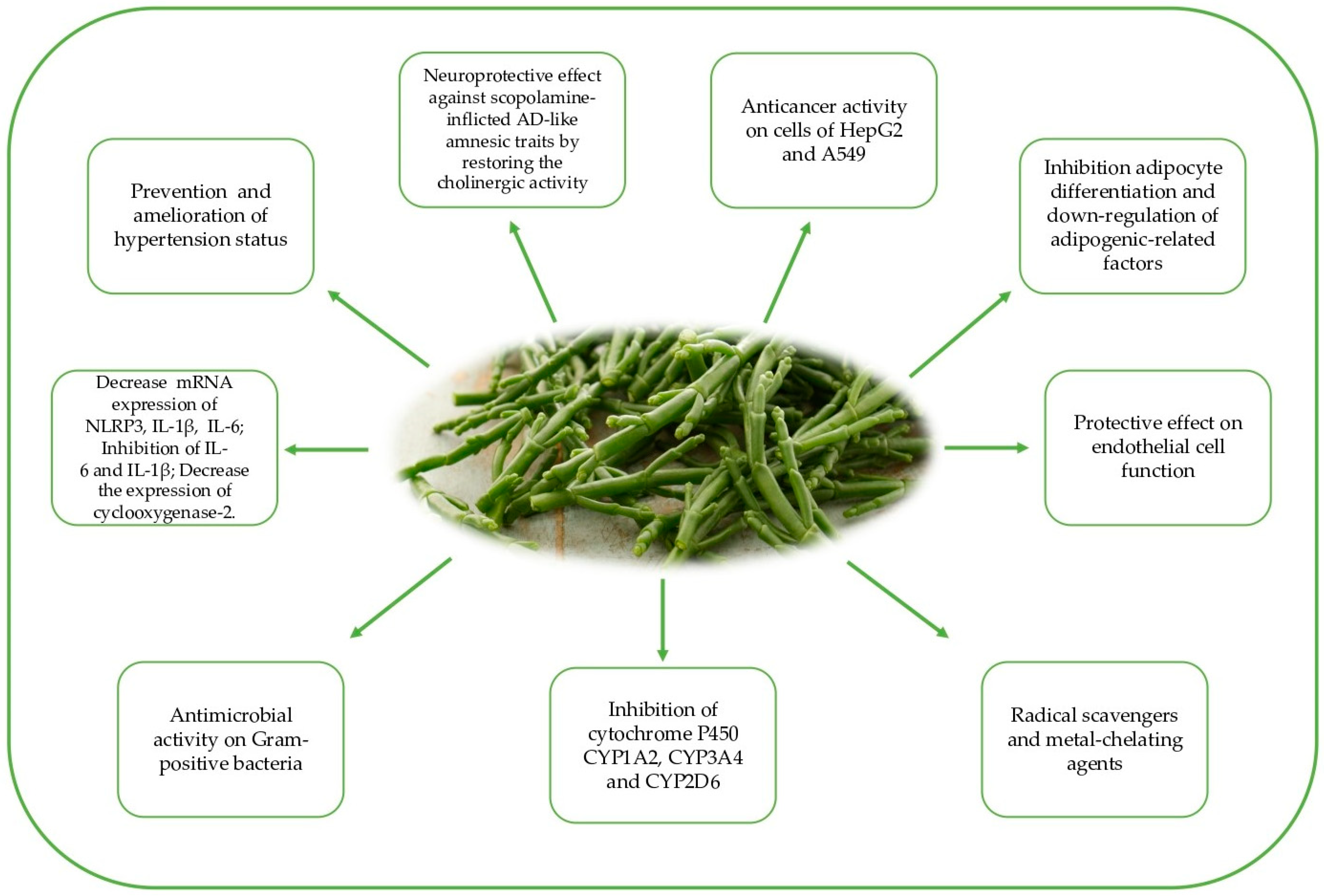 Molecules 27 07954 g001 Molecules 27 07954 g001