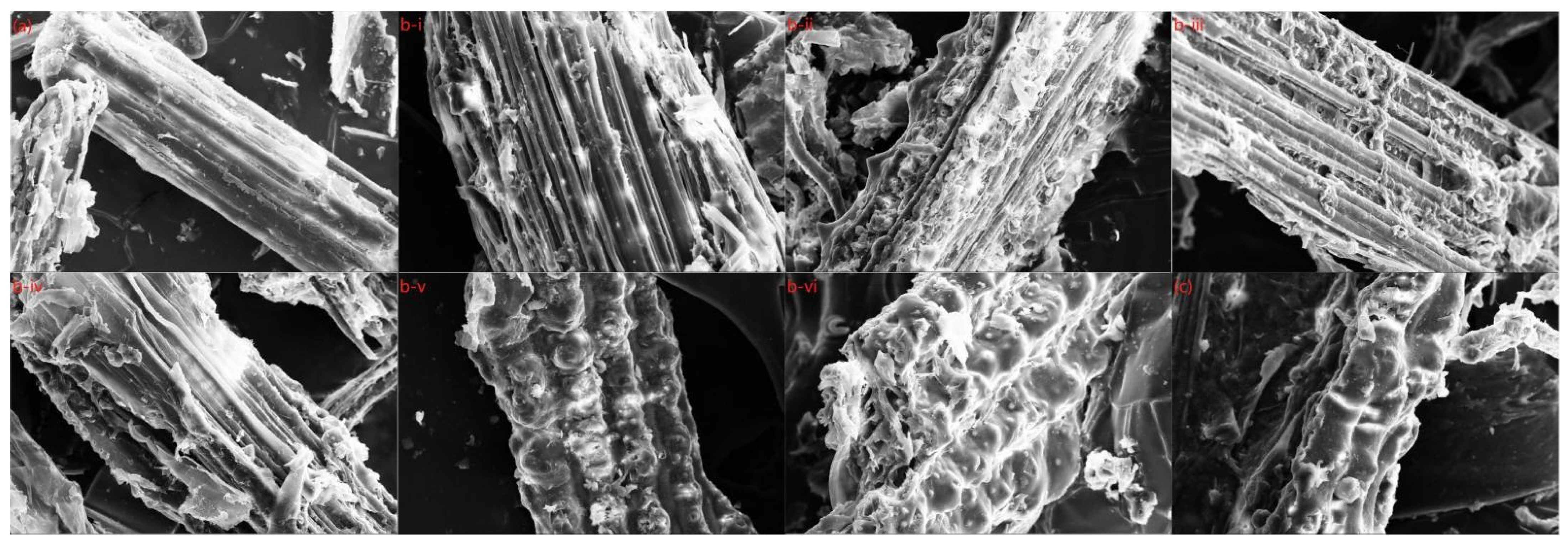 Molecules 27 07955 g005