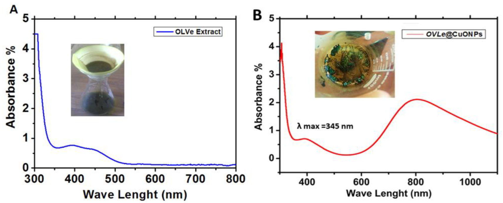 Molecules 27 07957 g002 Molecules 27 07957 g002