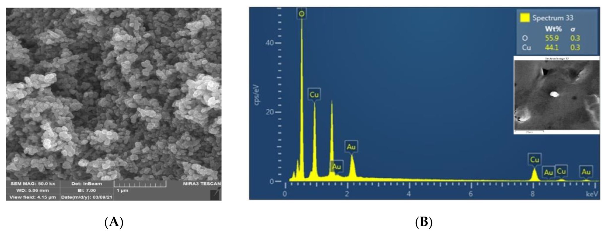 Molecules 27 07957 g006 Molecules 27 07957 g006