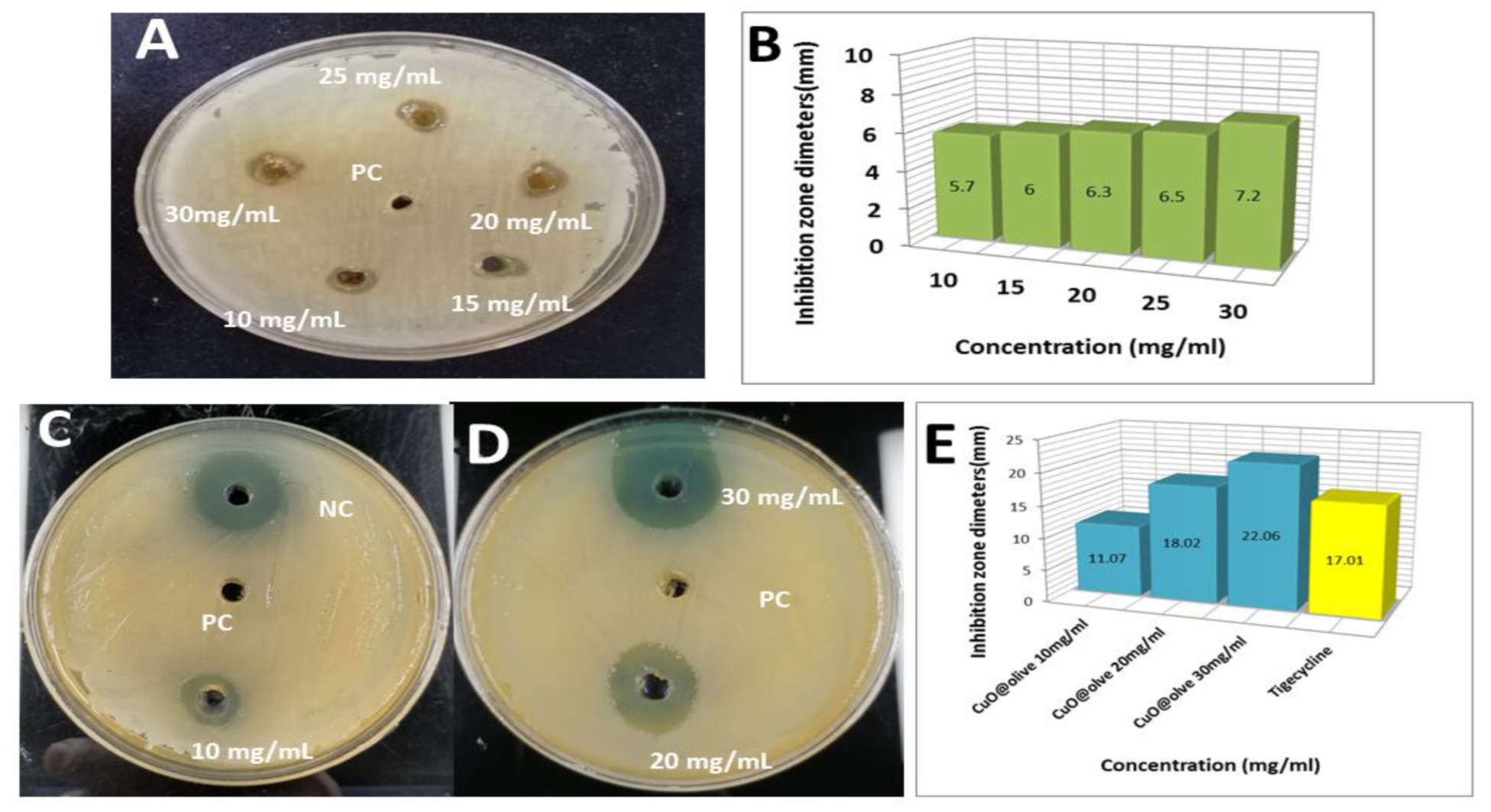 Molecules 27 07957 g007 Molecules 27 07957 g007