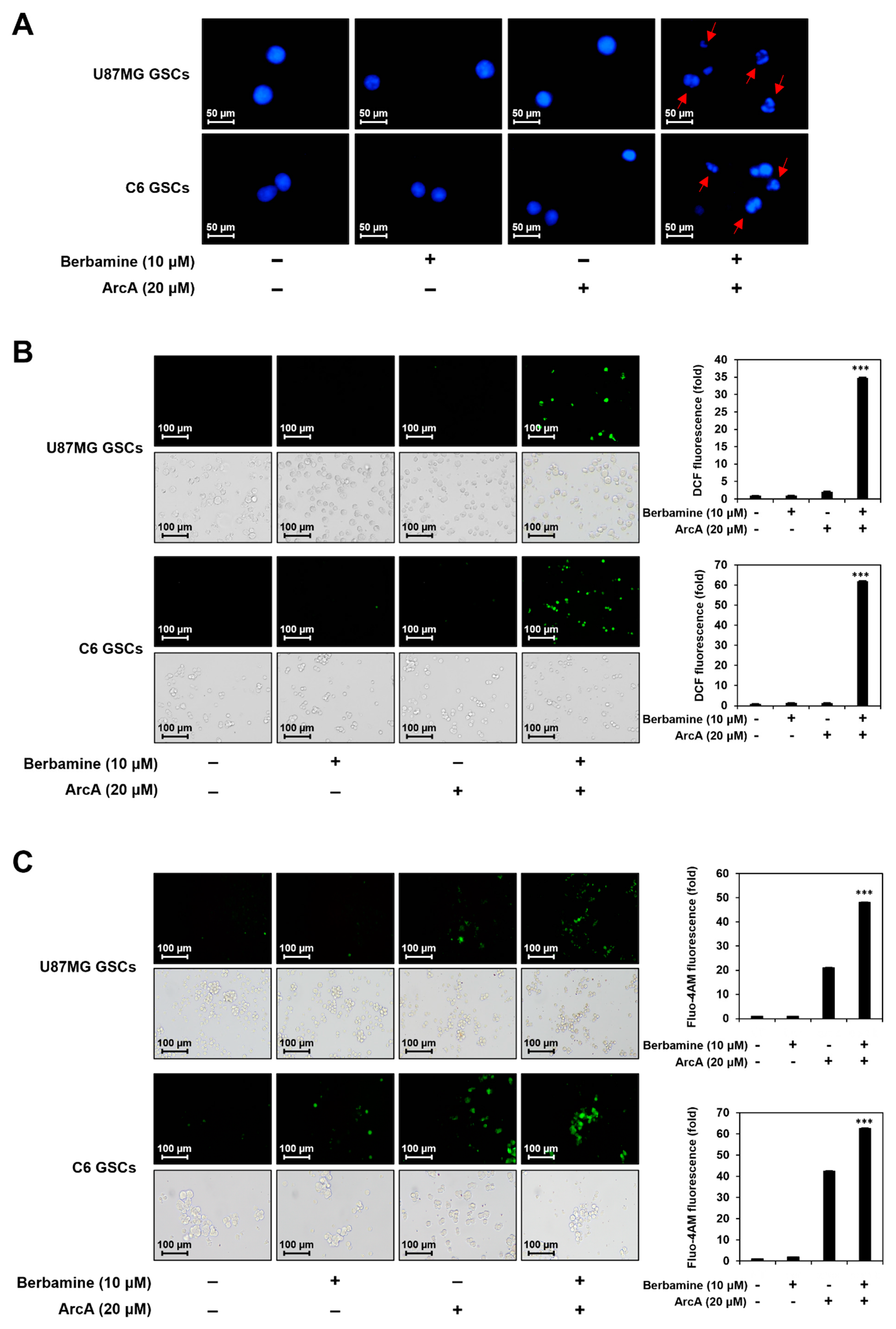 Molecules 27 07968 g002a Molecules 27 07968 g002a