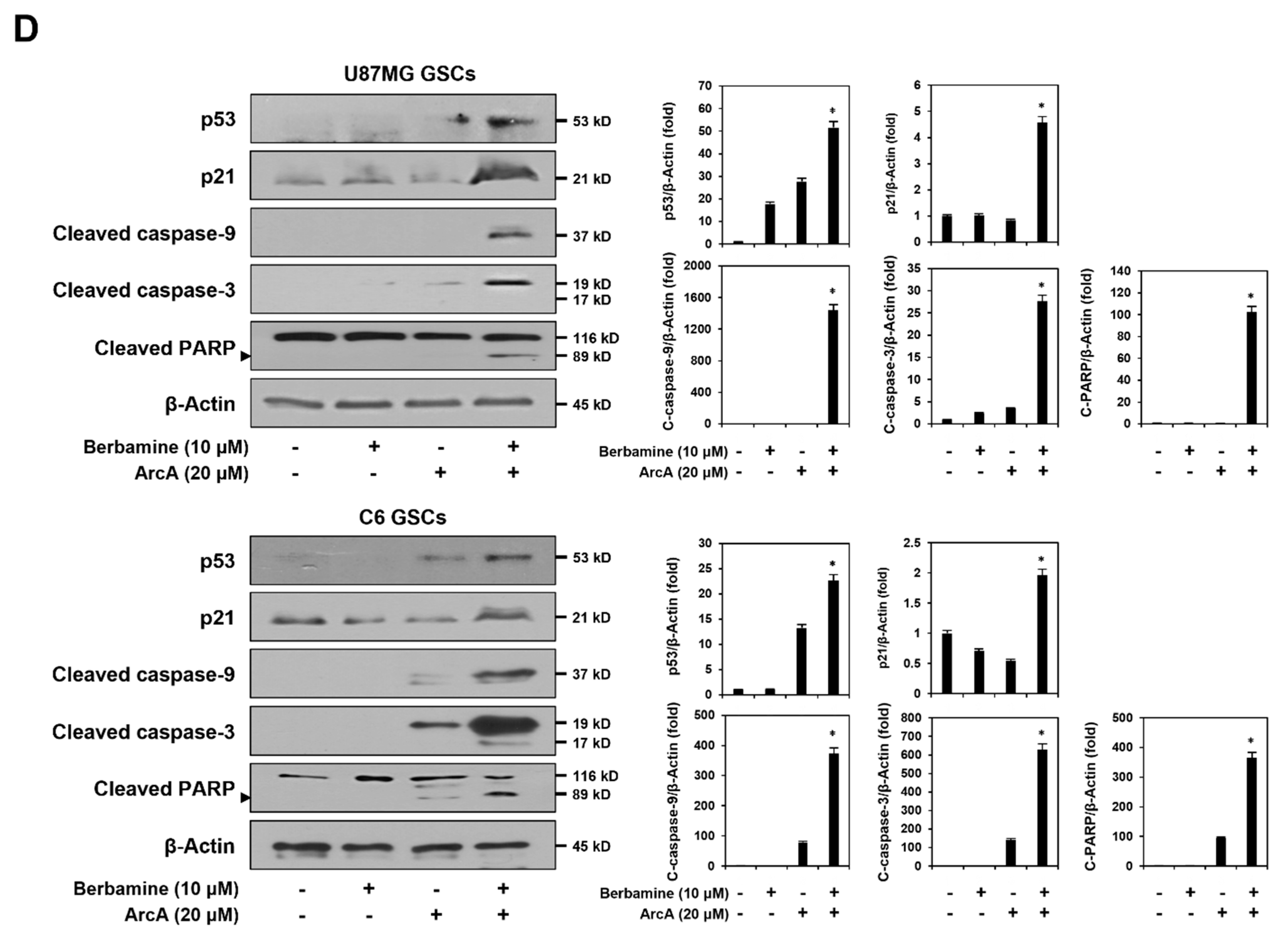Molecules 27 07968 g002b Molecules 27 07968 g002b