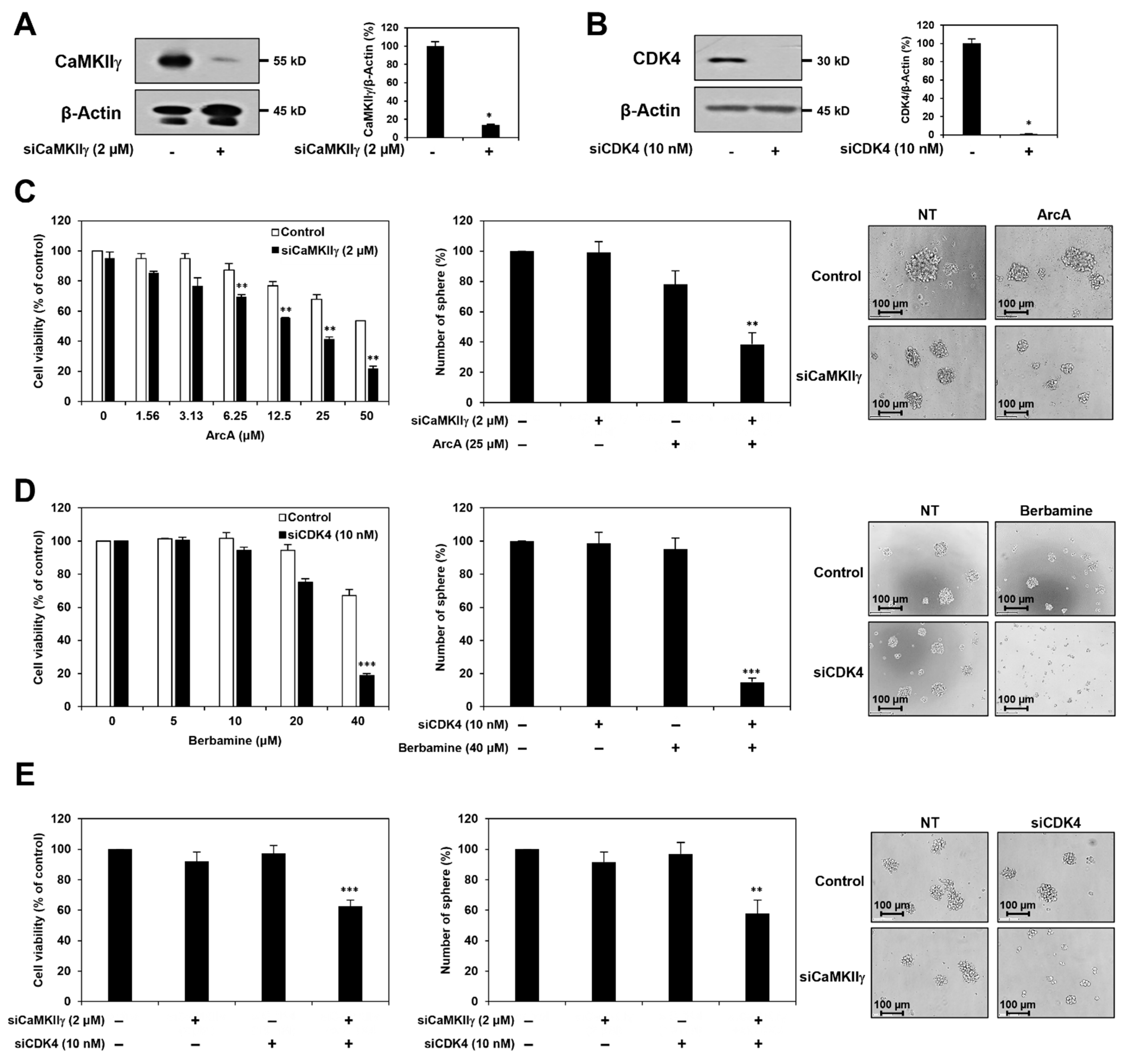 Molecules 27 07968 g005 Molecules 27 07968 g005
