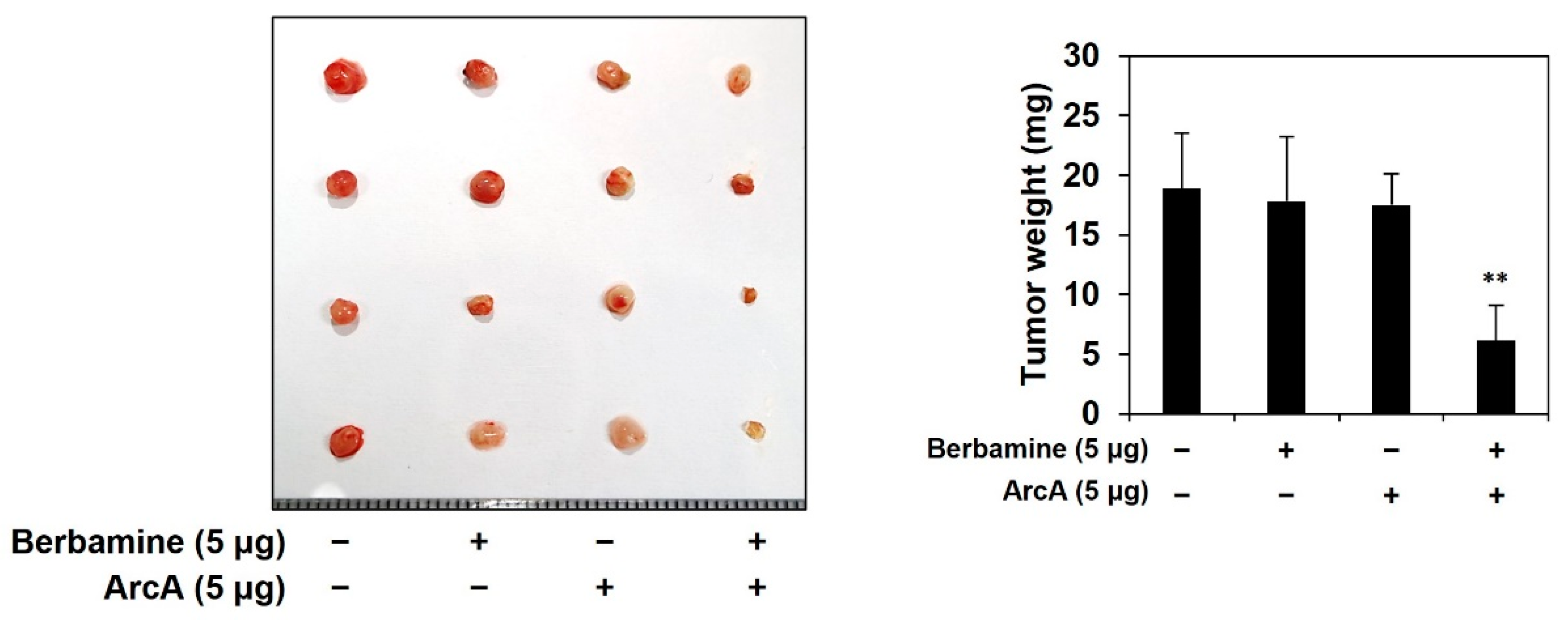 Molecules 27 07968 g006 Molecules 27 07968 g006