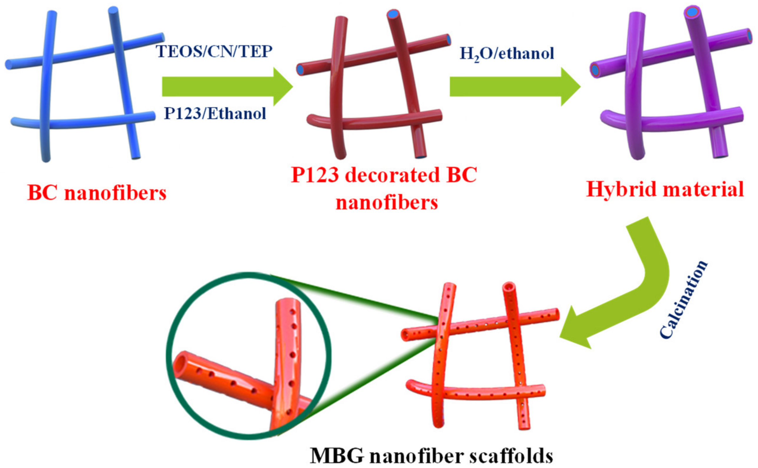 Molecules 27 07973 g001 Molecules 27 07973 g001