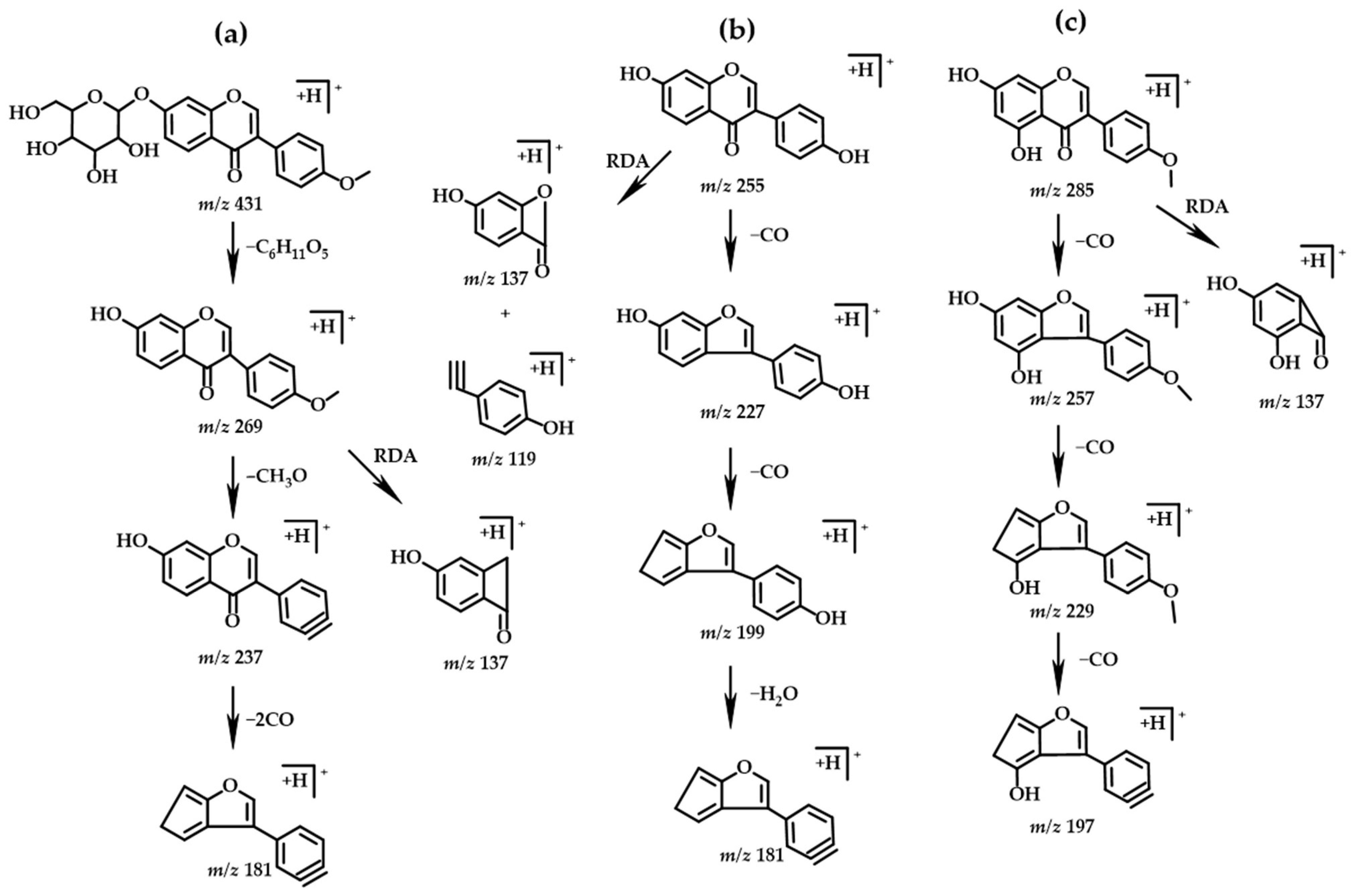 Molecules 27 07978 g004 Molecules 27 07978 g004