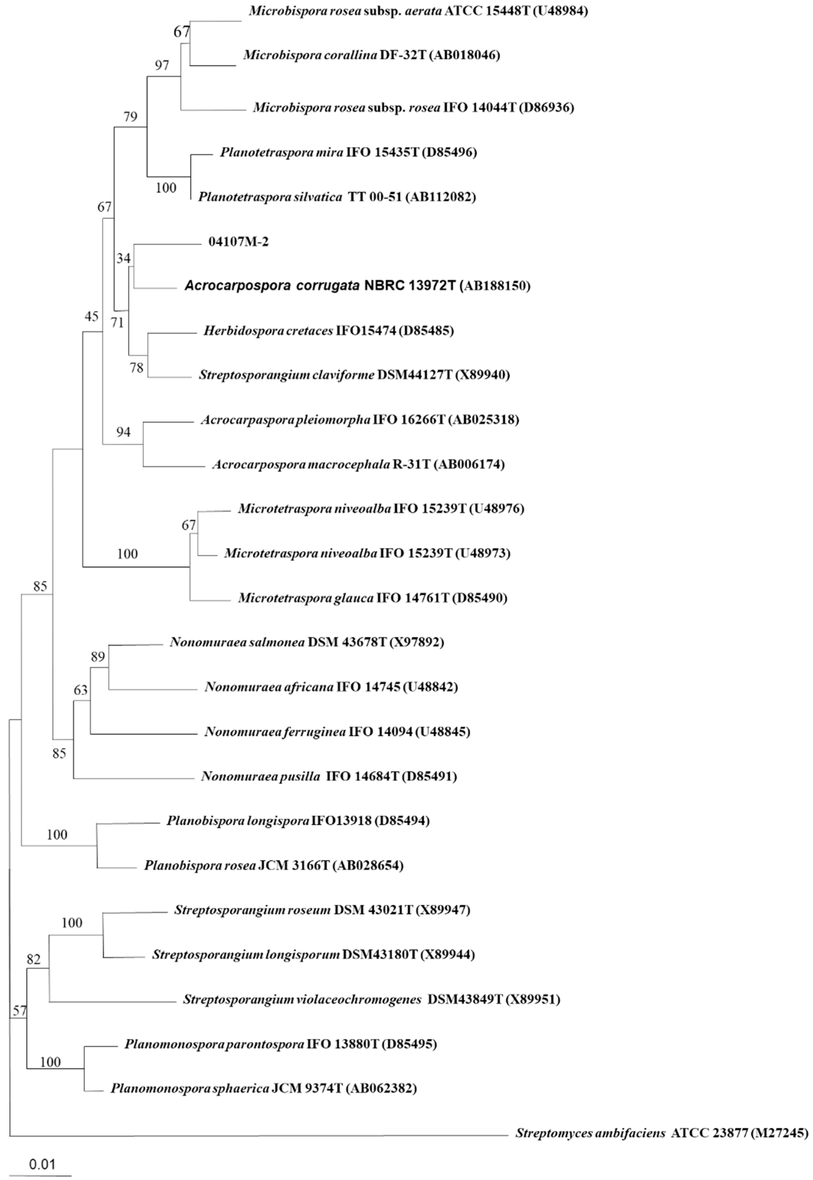 Molecules 27 07982 g003