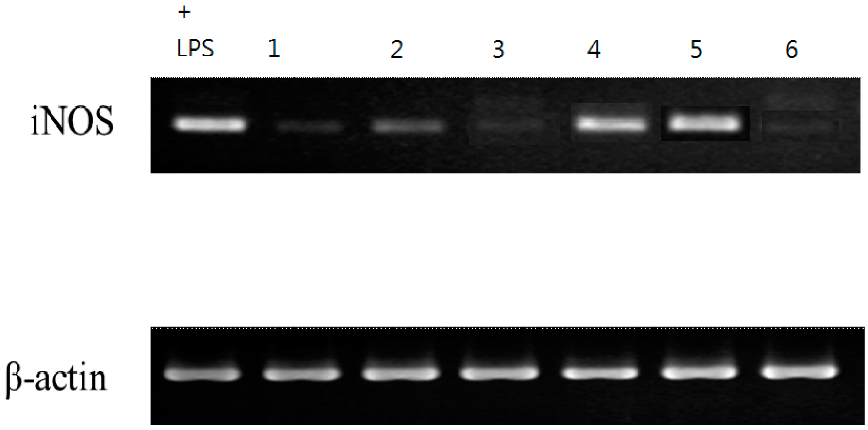 Molecules 27 07982 g006