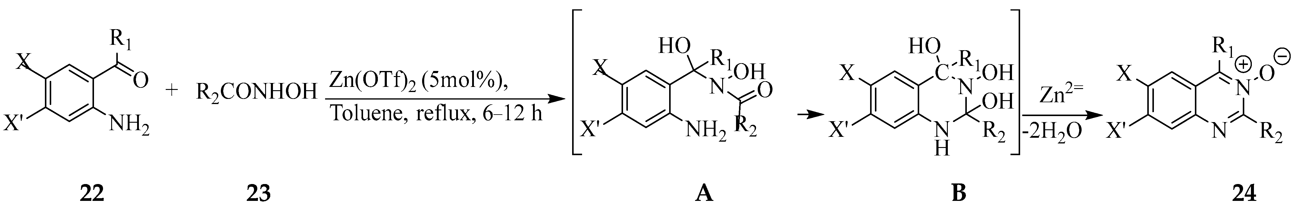 Molecules 27 07985 sch009 Molecules 27 07985 sch009
