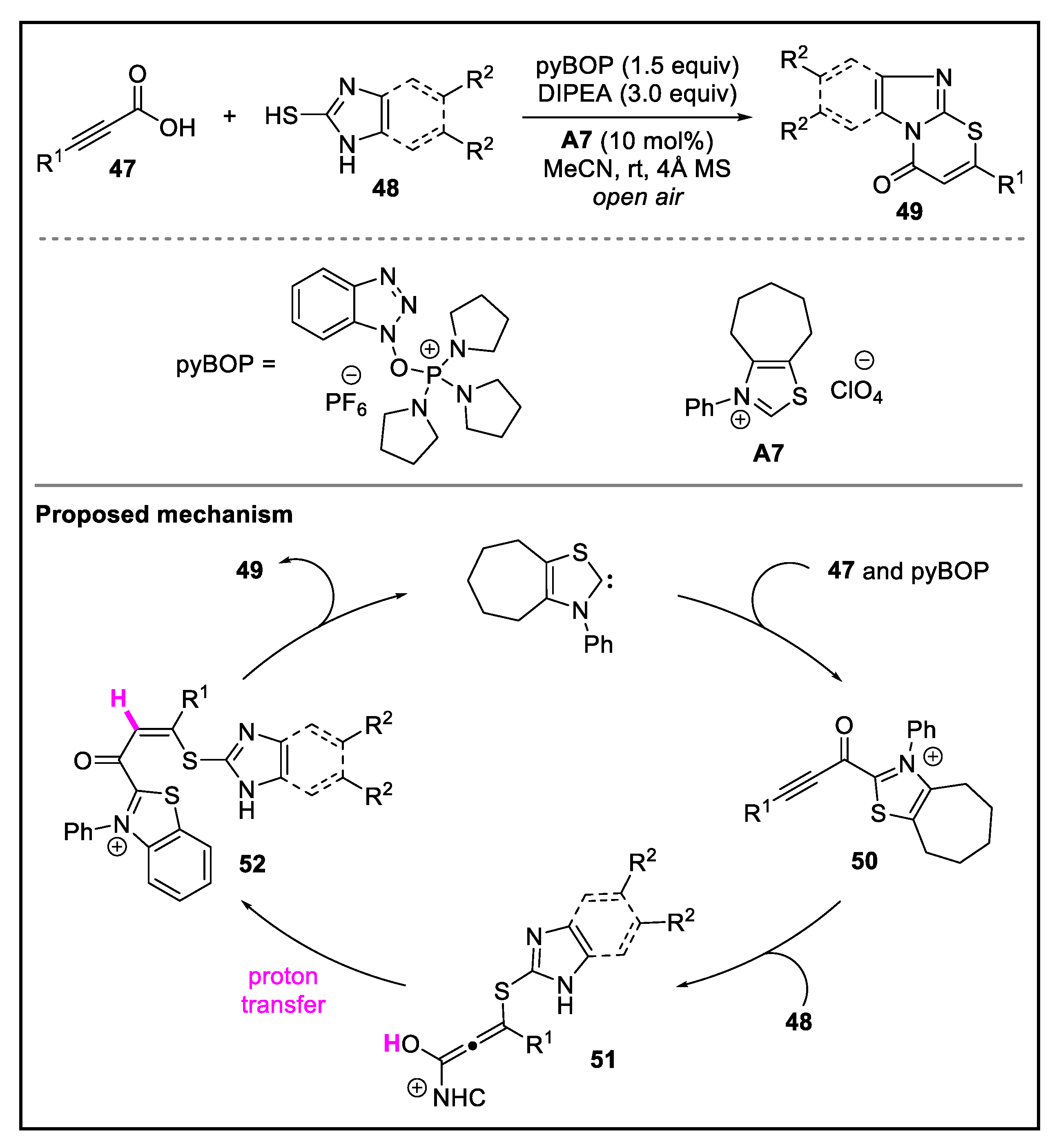 Molecules 27 07990 sch010 Molecules 27 07990 sch010