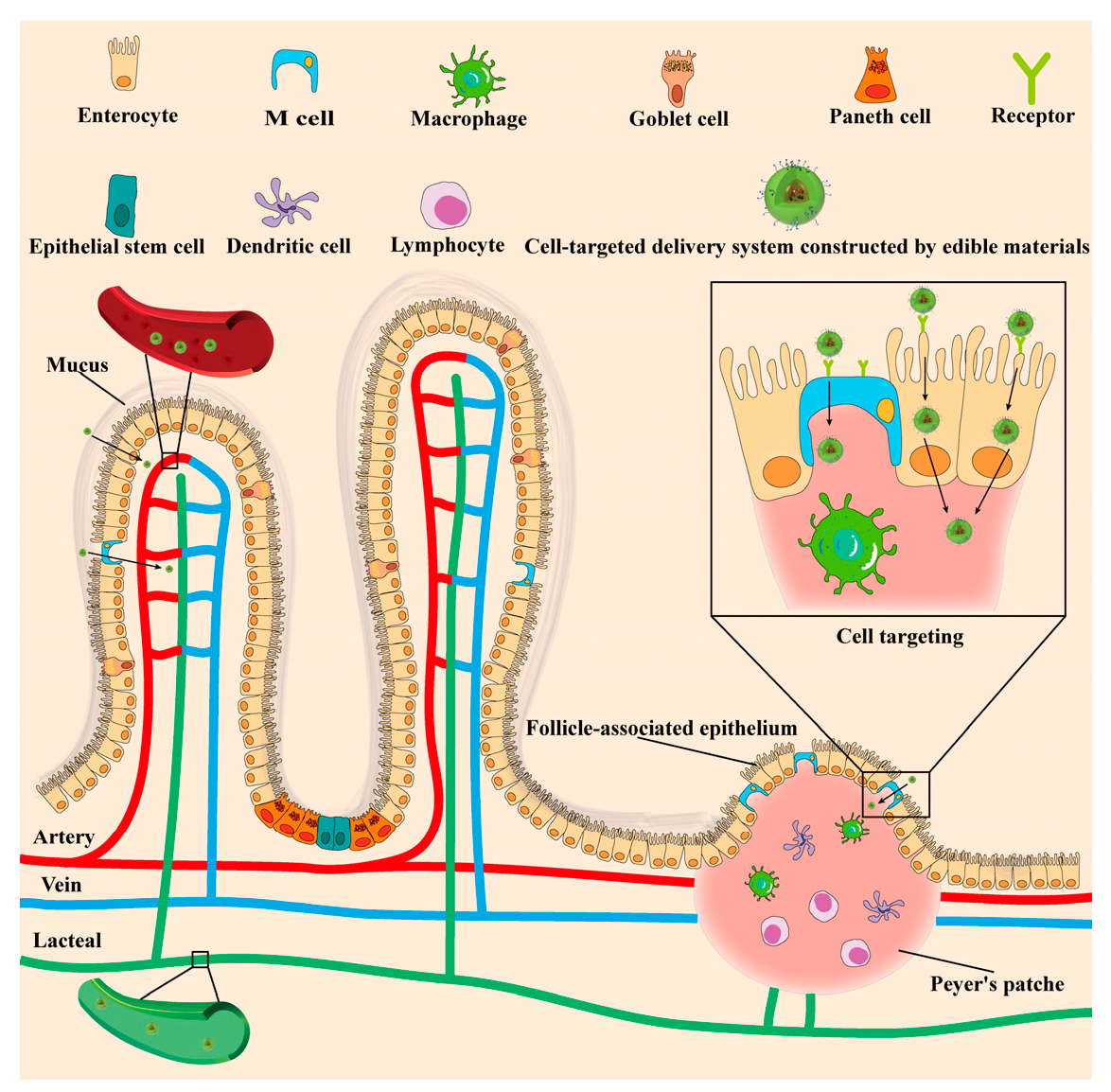 Molecules 27 07991 g002 Molecules 27 07991 g002