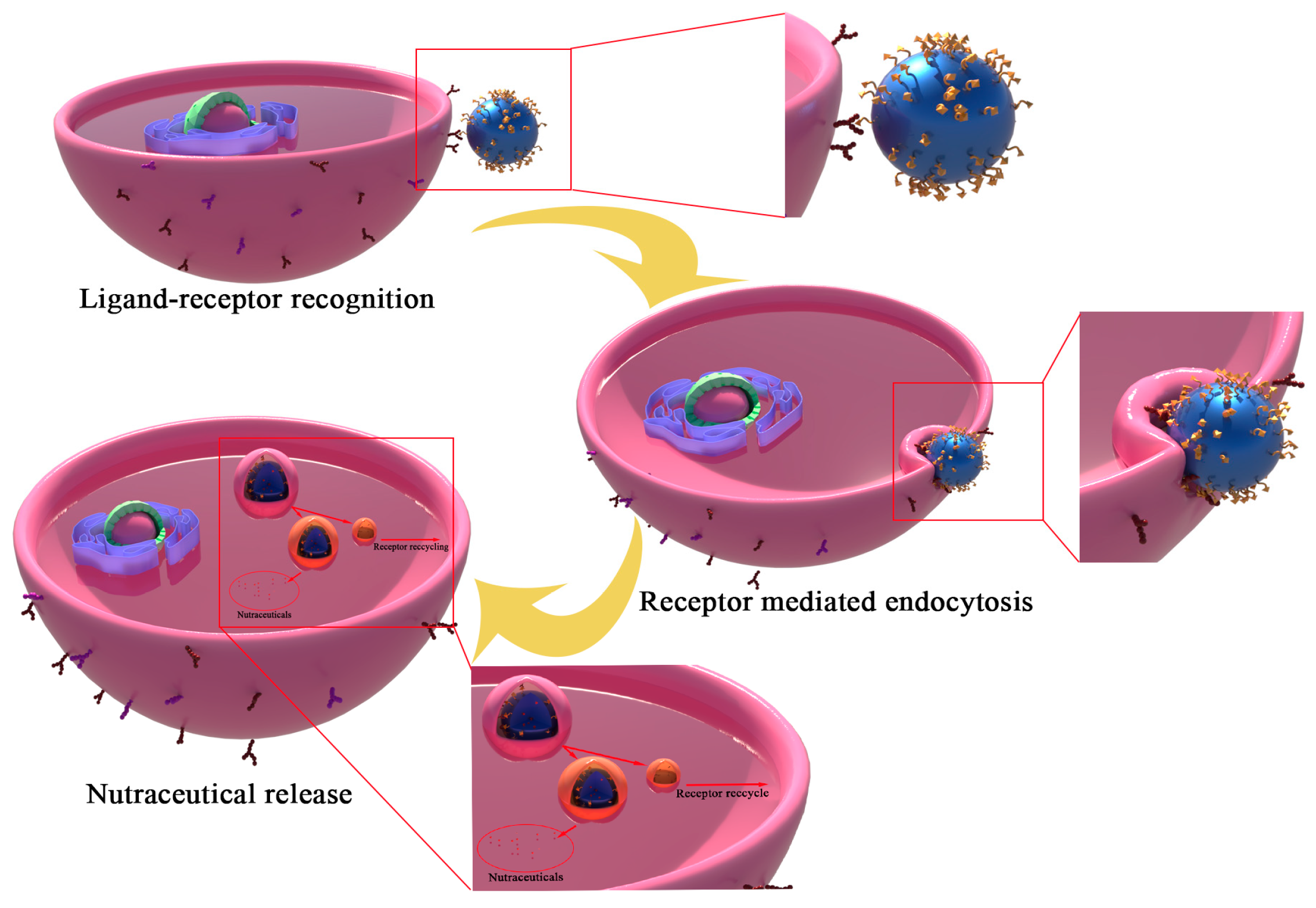 Molecules 27 07991 g003 Molecules 27 07991 g003