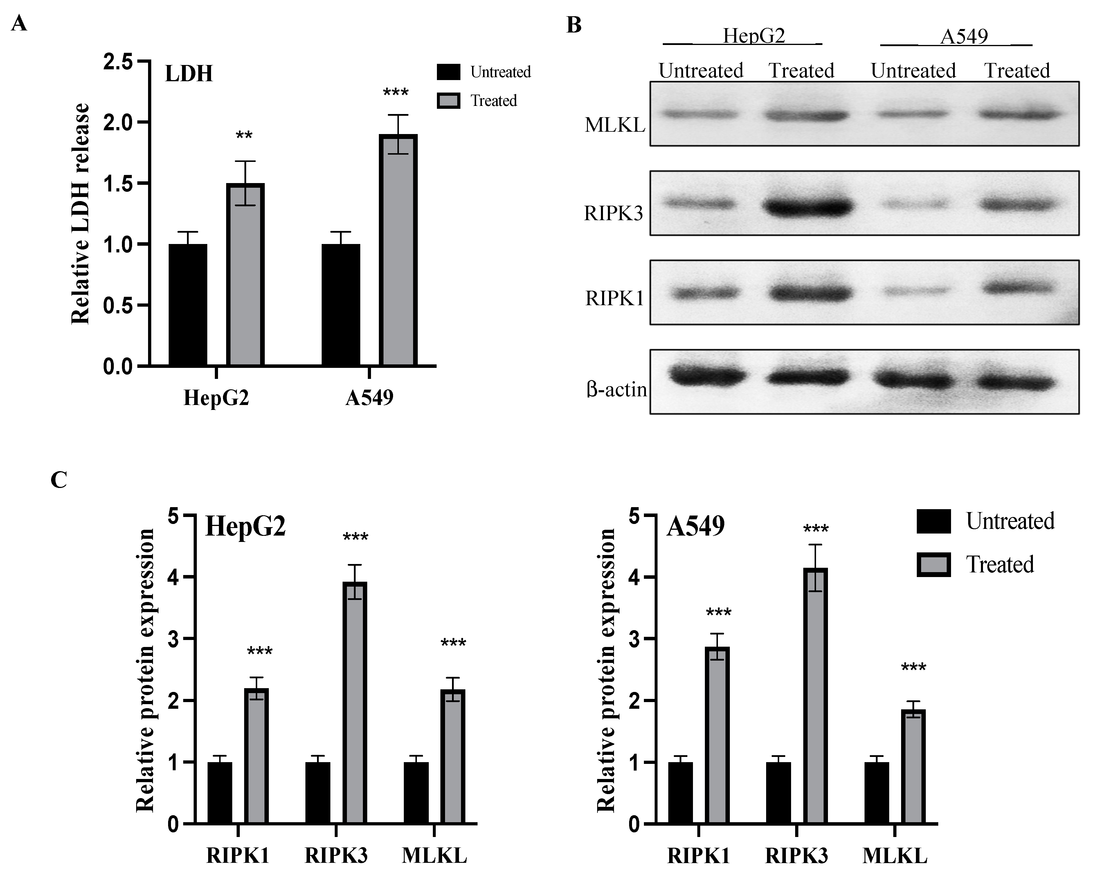 Molecules 27 07993 g008