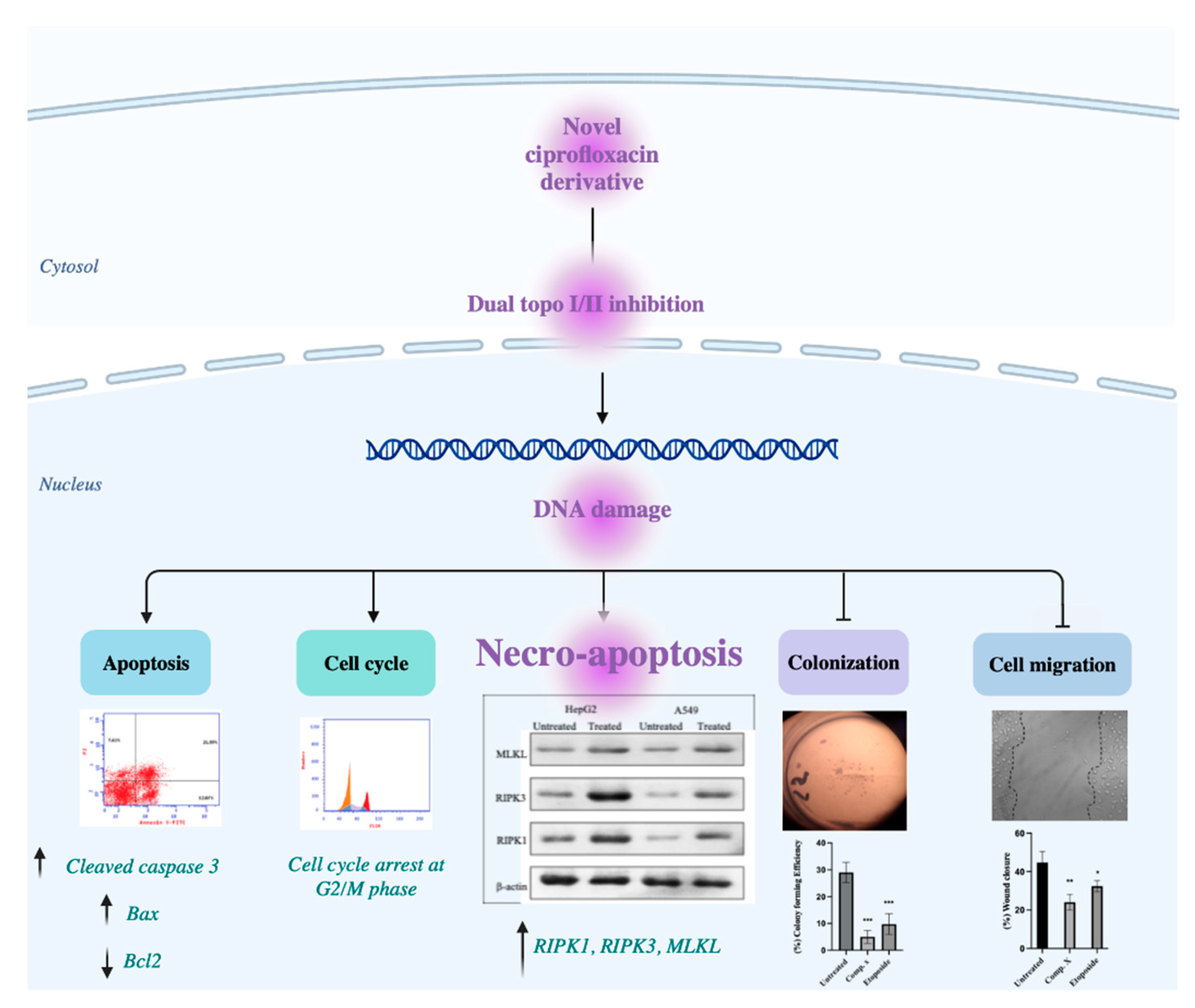 Molecules 27 07993 g010