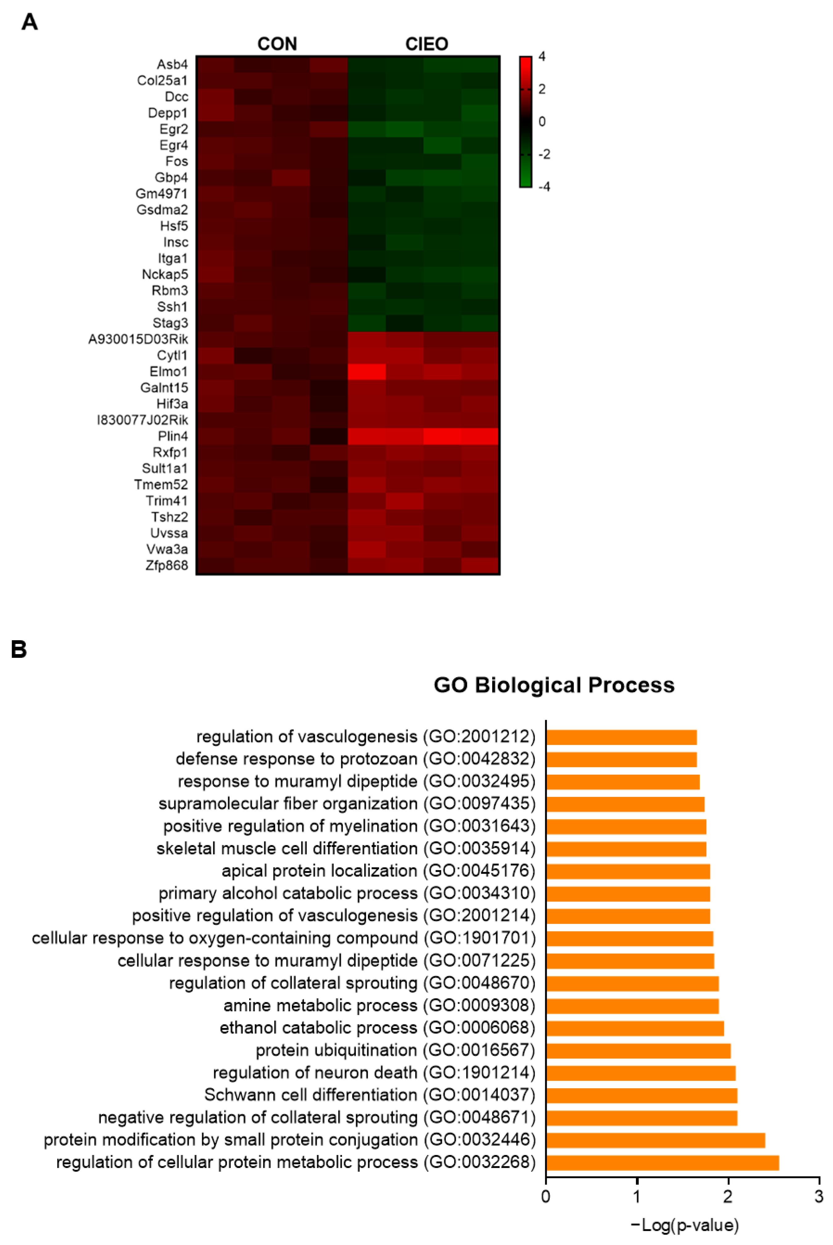 Molecules 27 07997 g006a