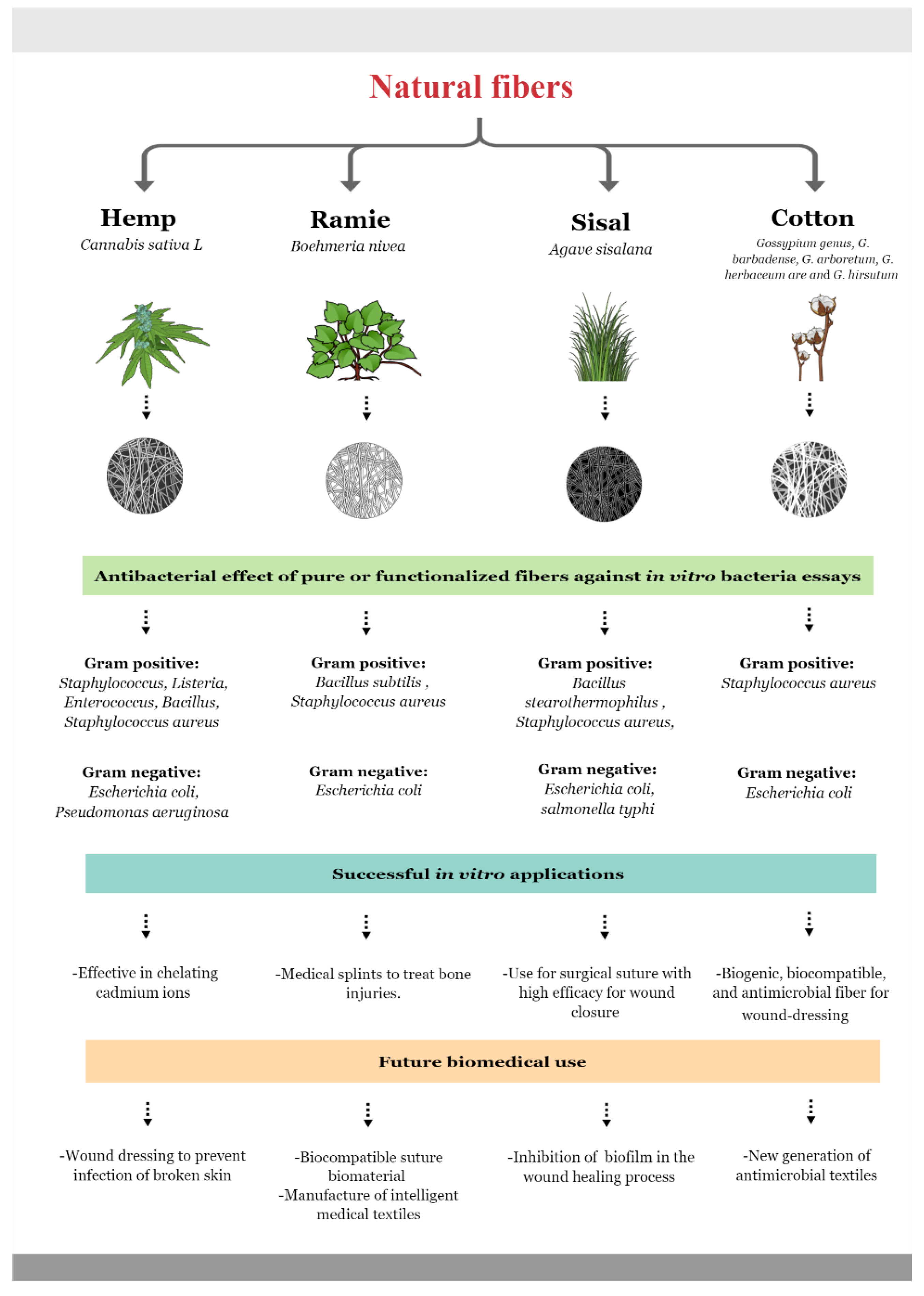 5 Things You Need to Know About Antimicrobial Textiles